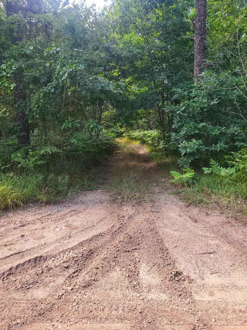 South Branch of Twin Creek Trail