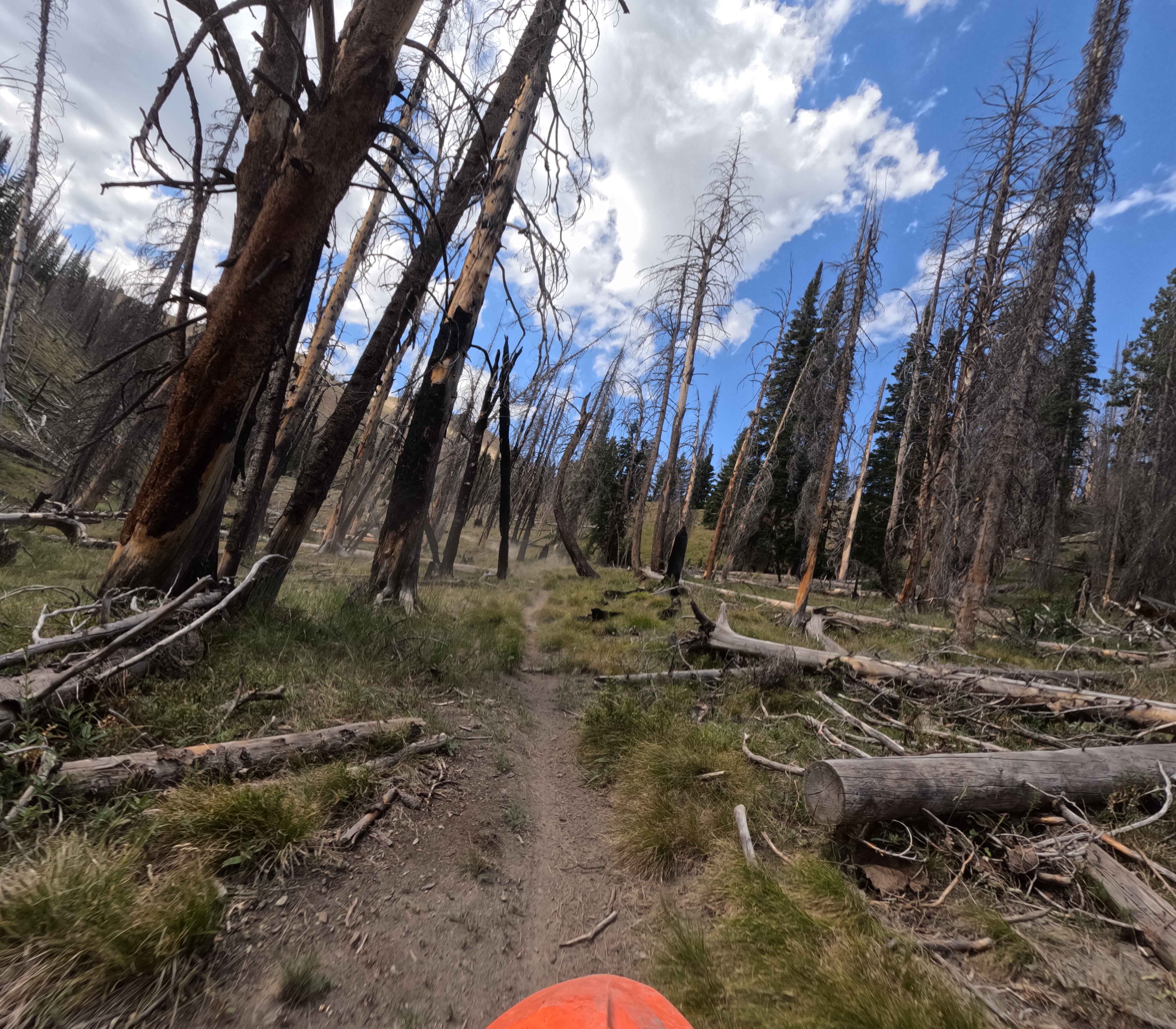 Rooks Creek - FS 7145