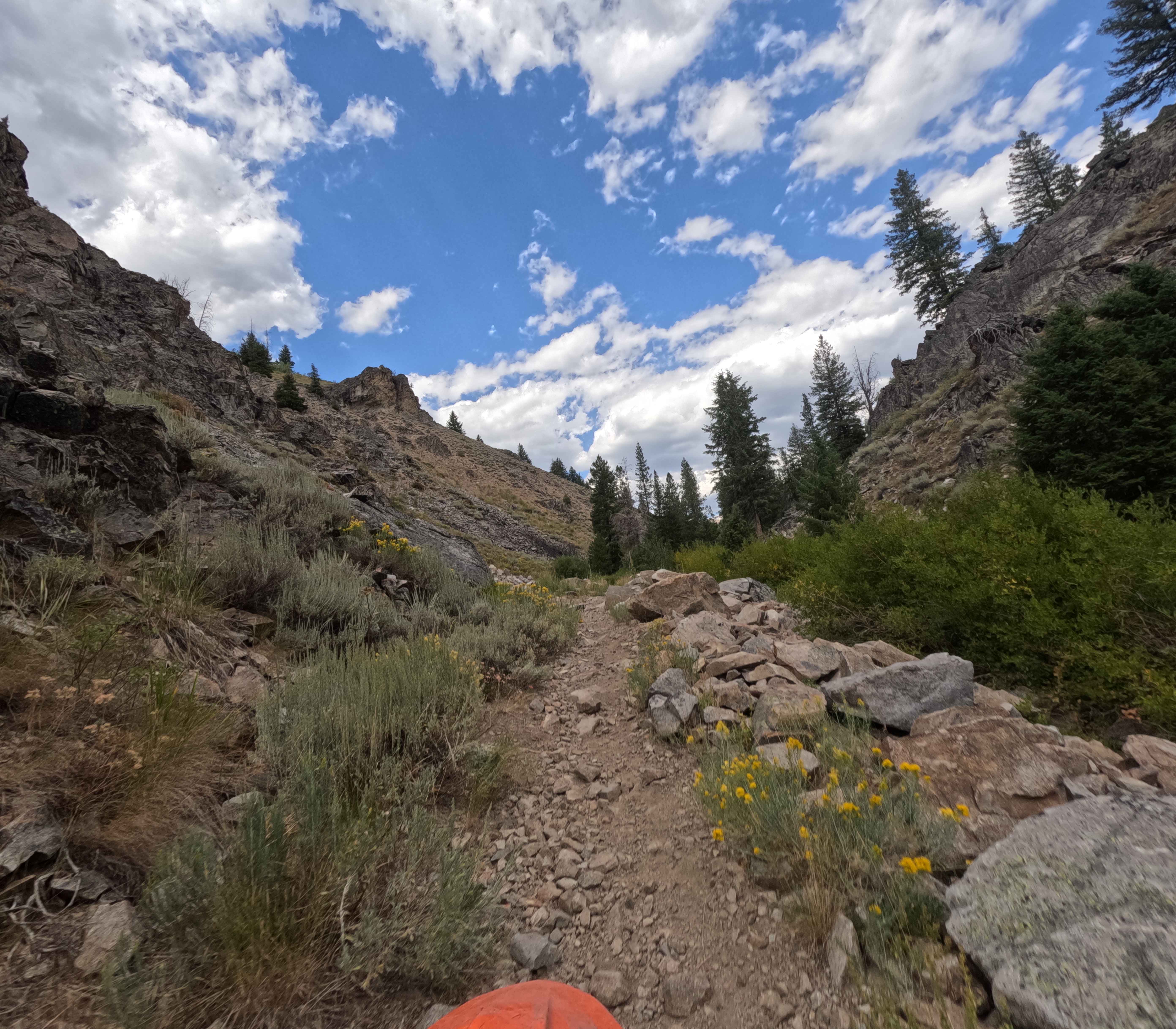 Rooks Creek - FS 7145