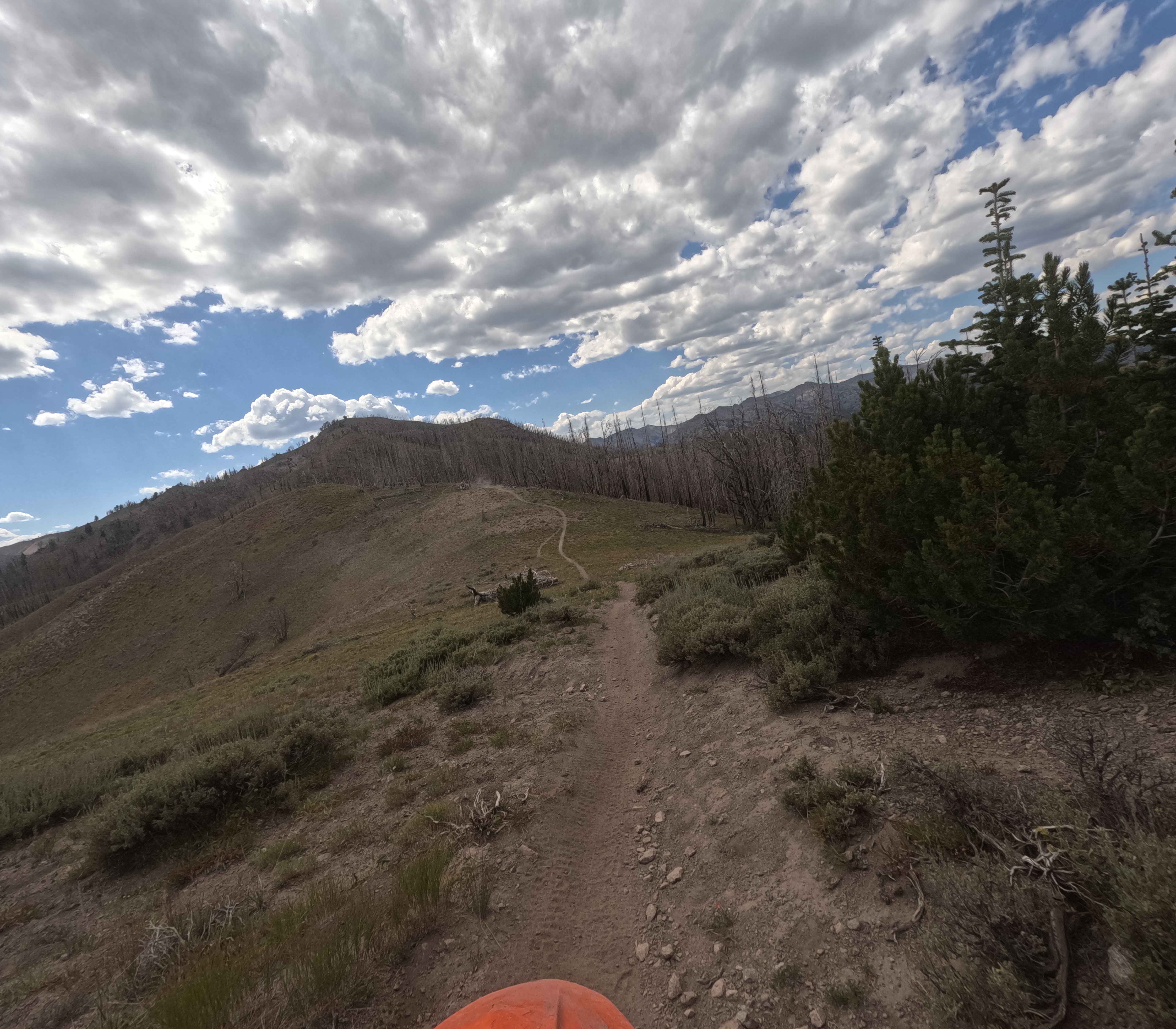 Osberg Ridgeline Trail - FS 7147