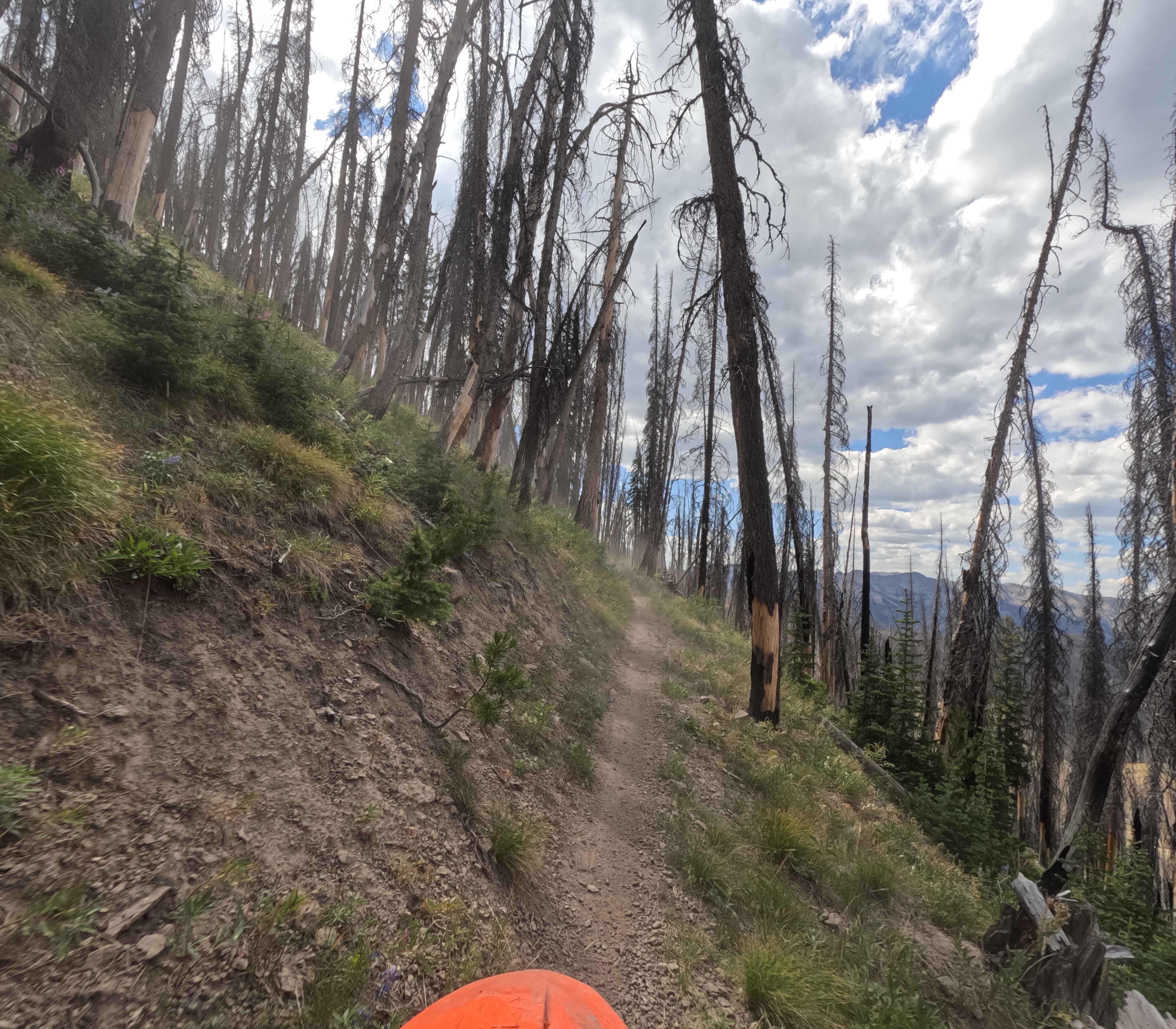 Osberg Ridgeline Trail - FS 7147