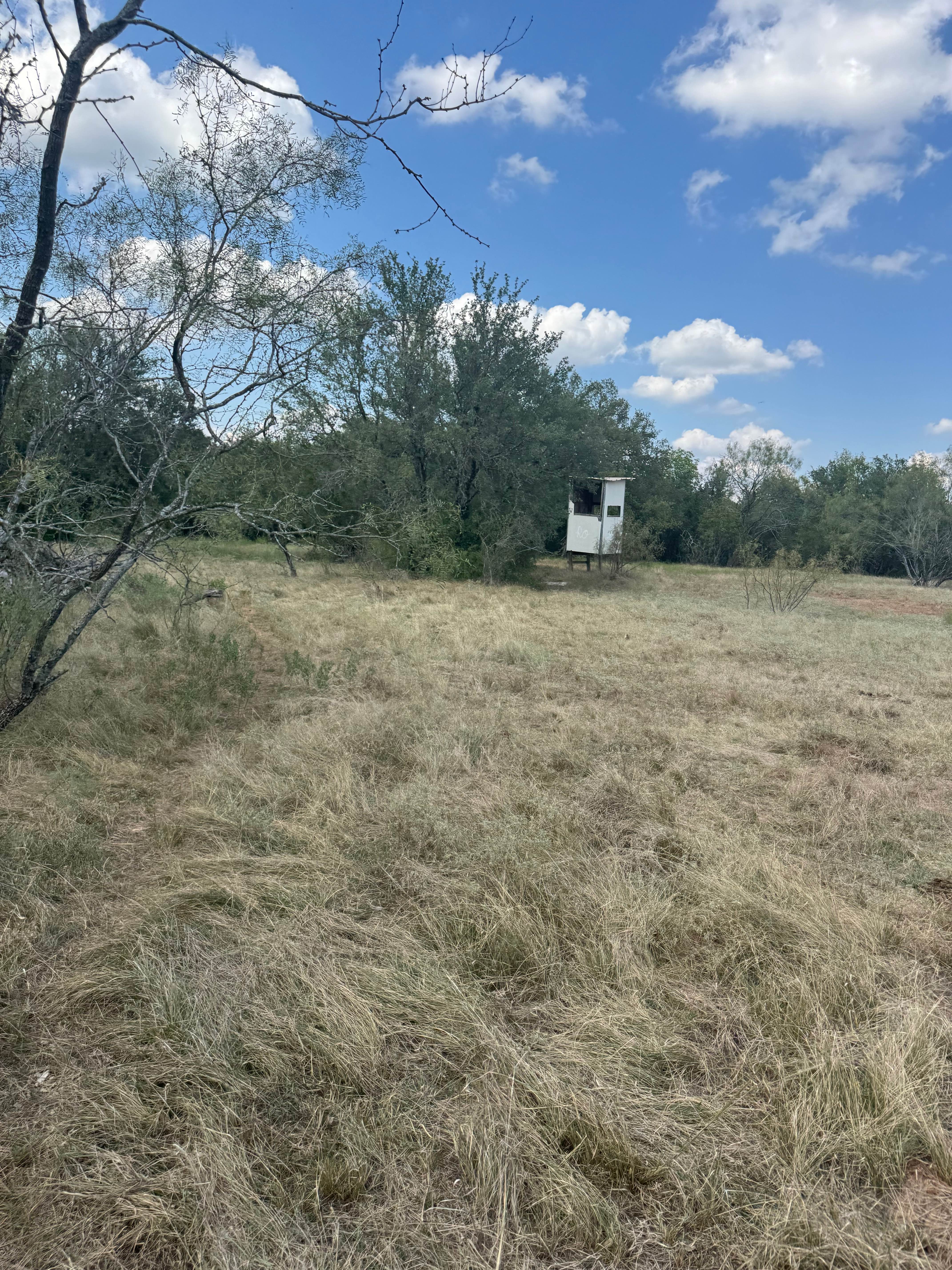 Little Creek Crossing