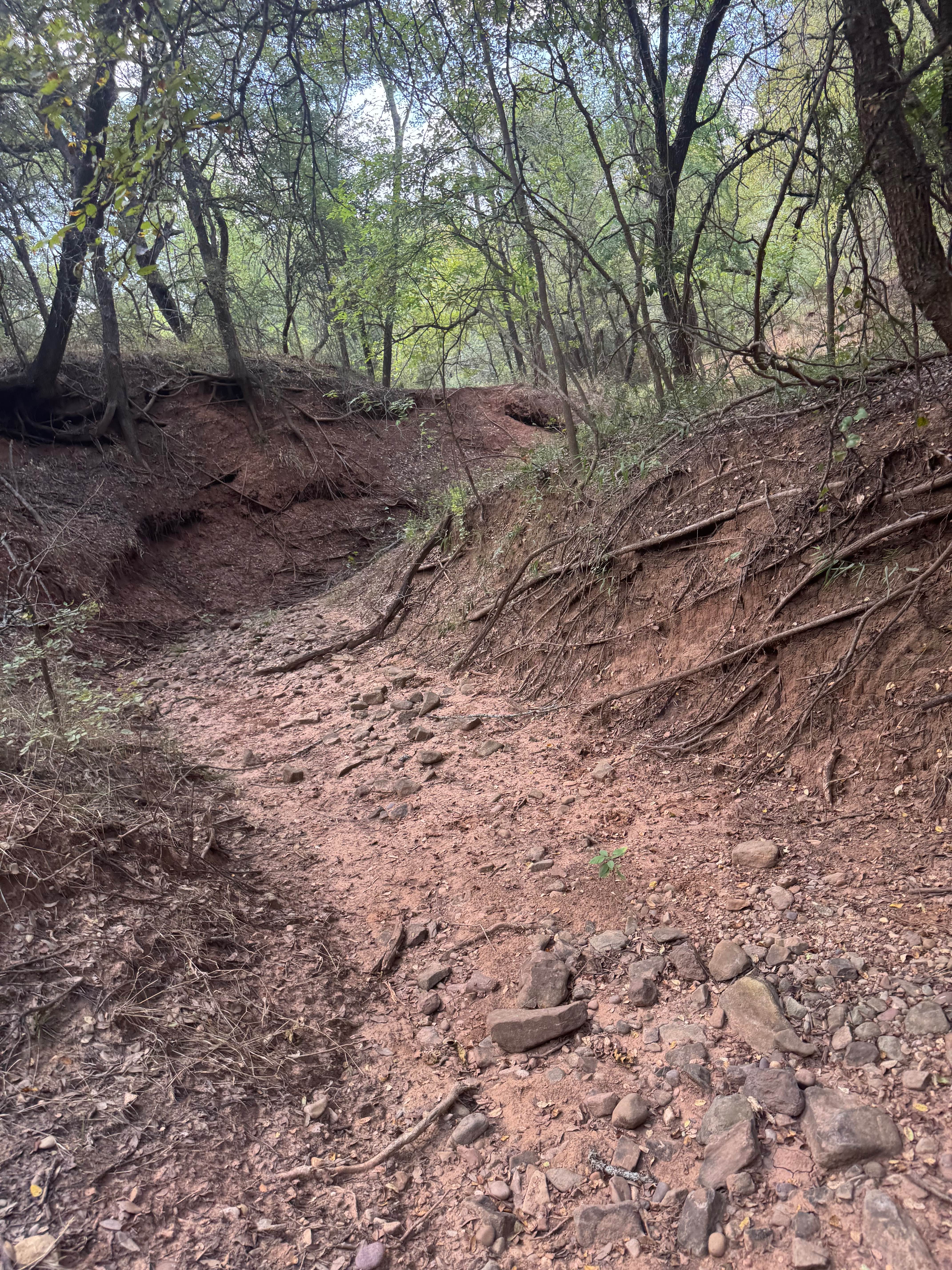 Little Creek Crossing