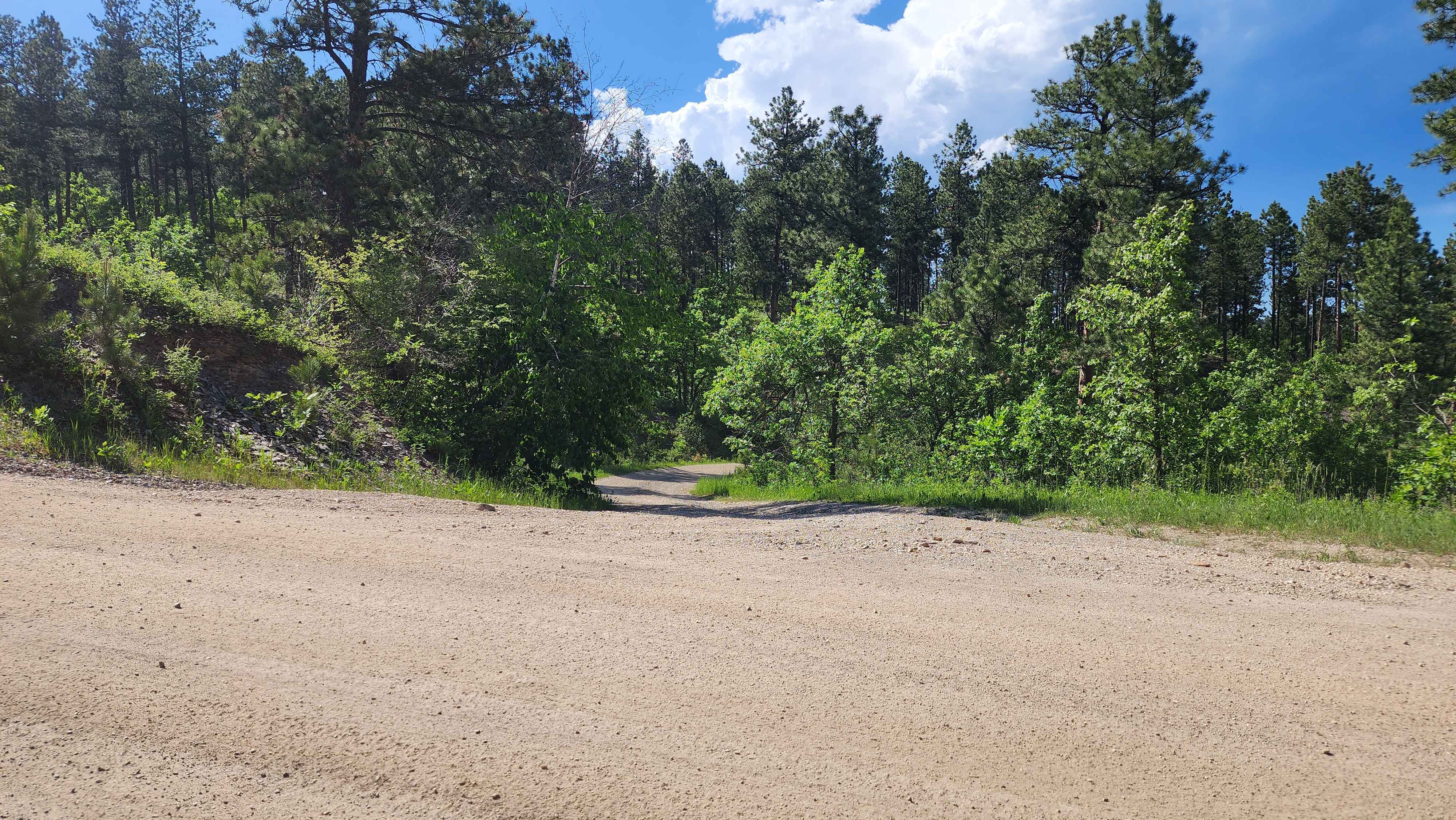 Victoria Lake Dam - FS 6704