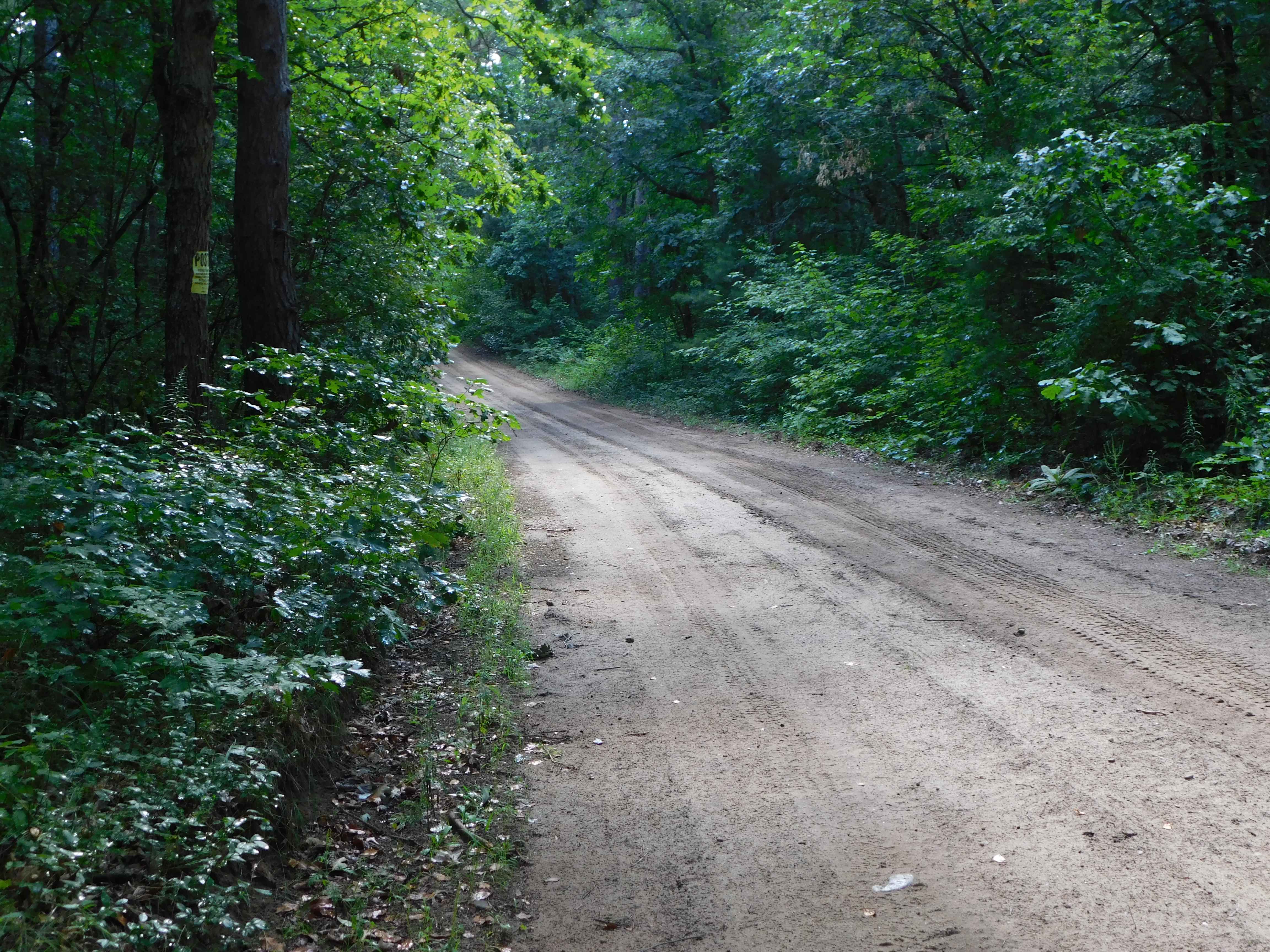 Linderman Road Forest Route