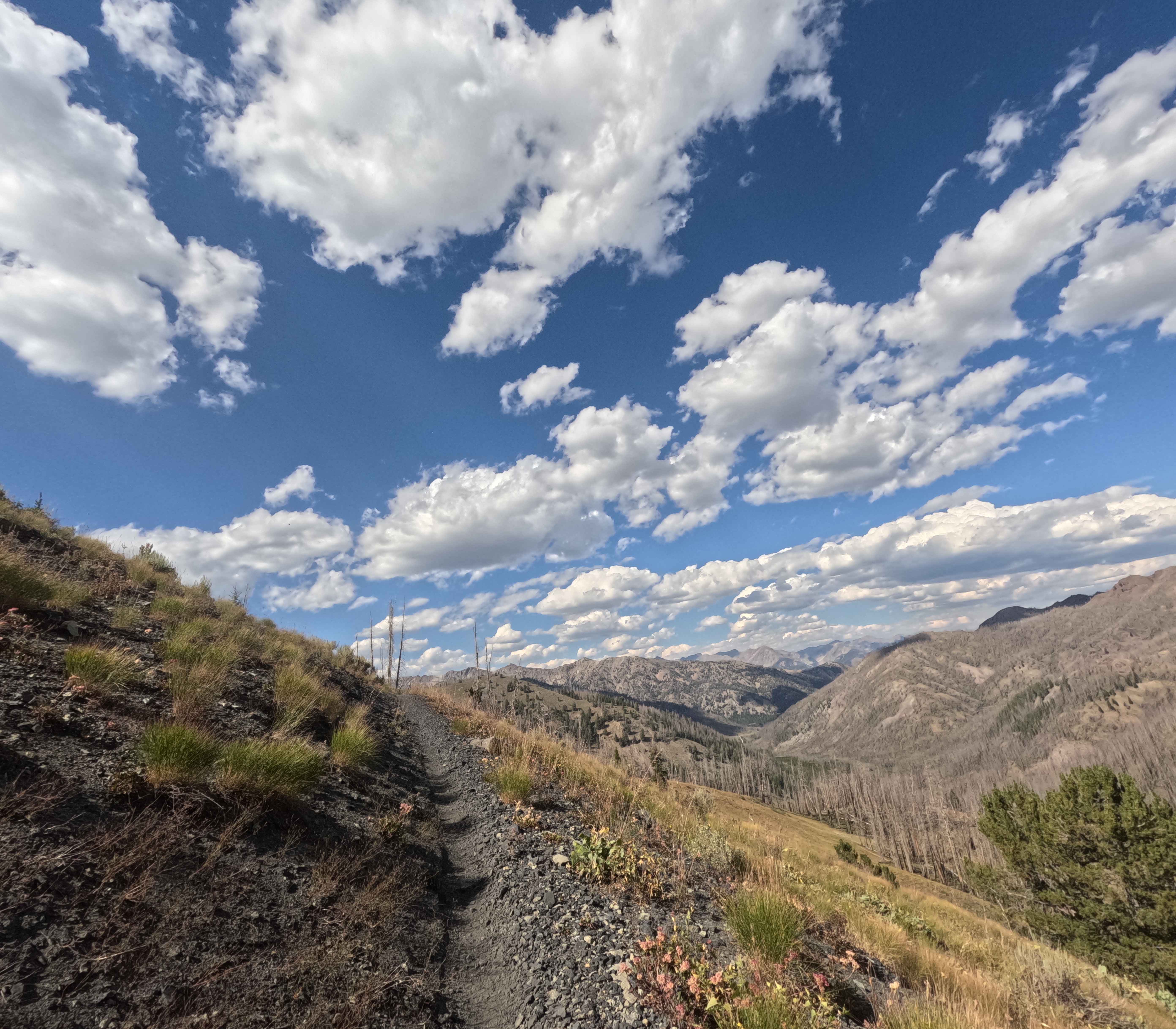 Castle Rock - FS 7140