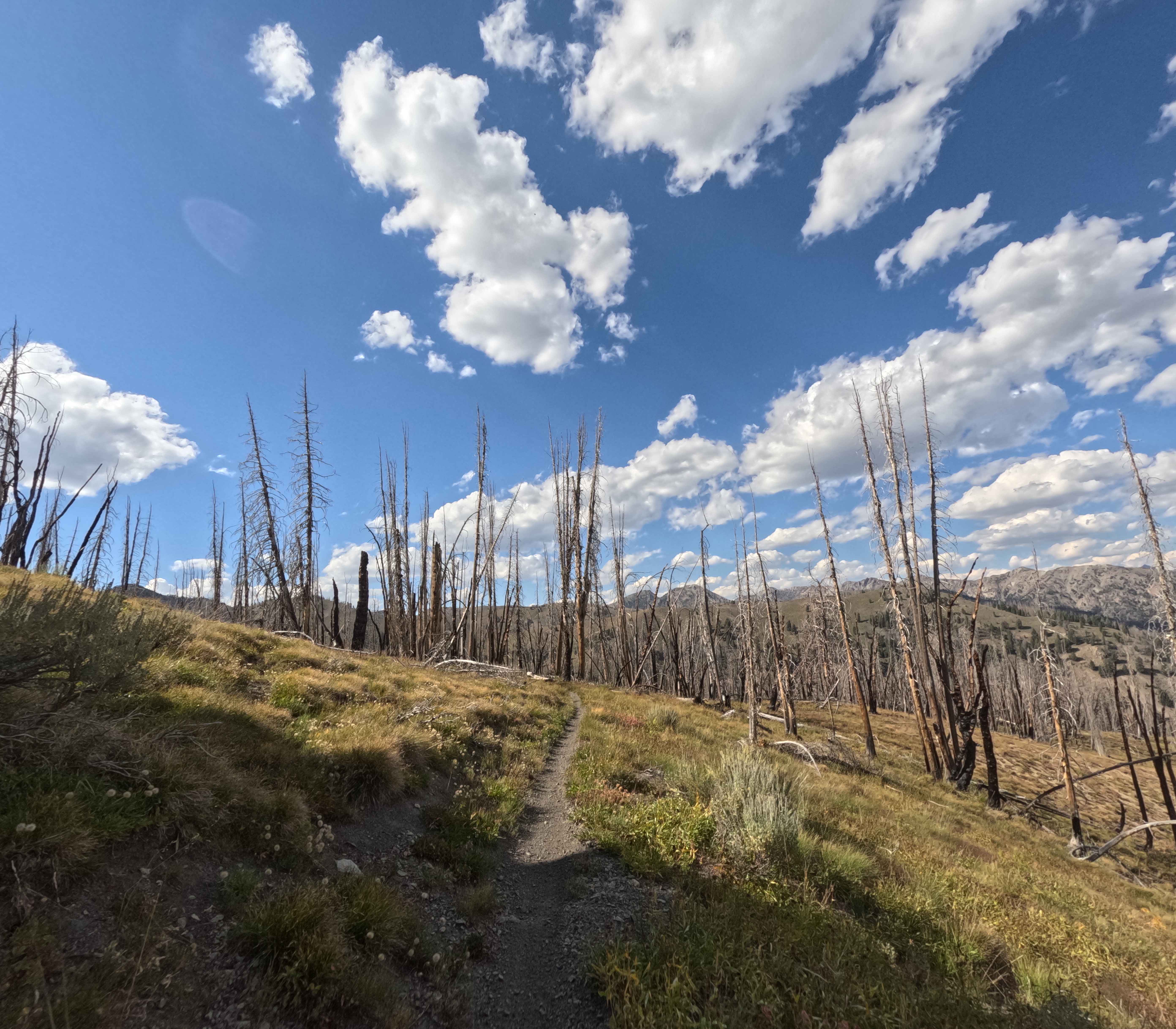 Castle Rock - FS 7140