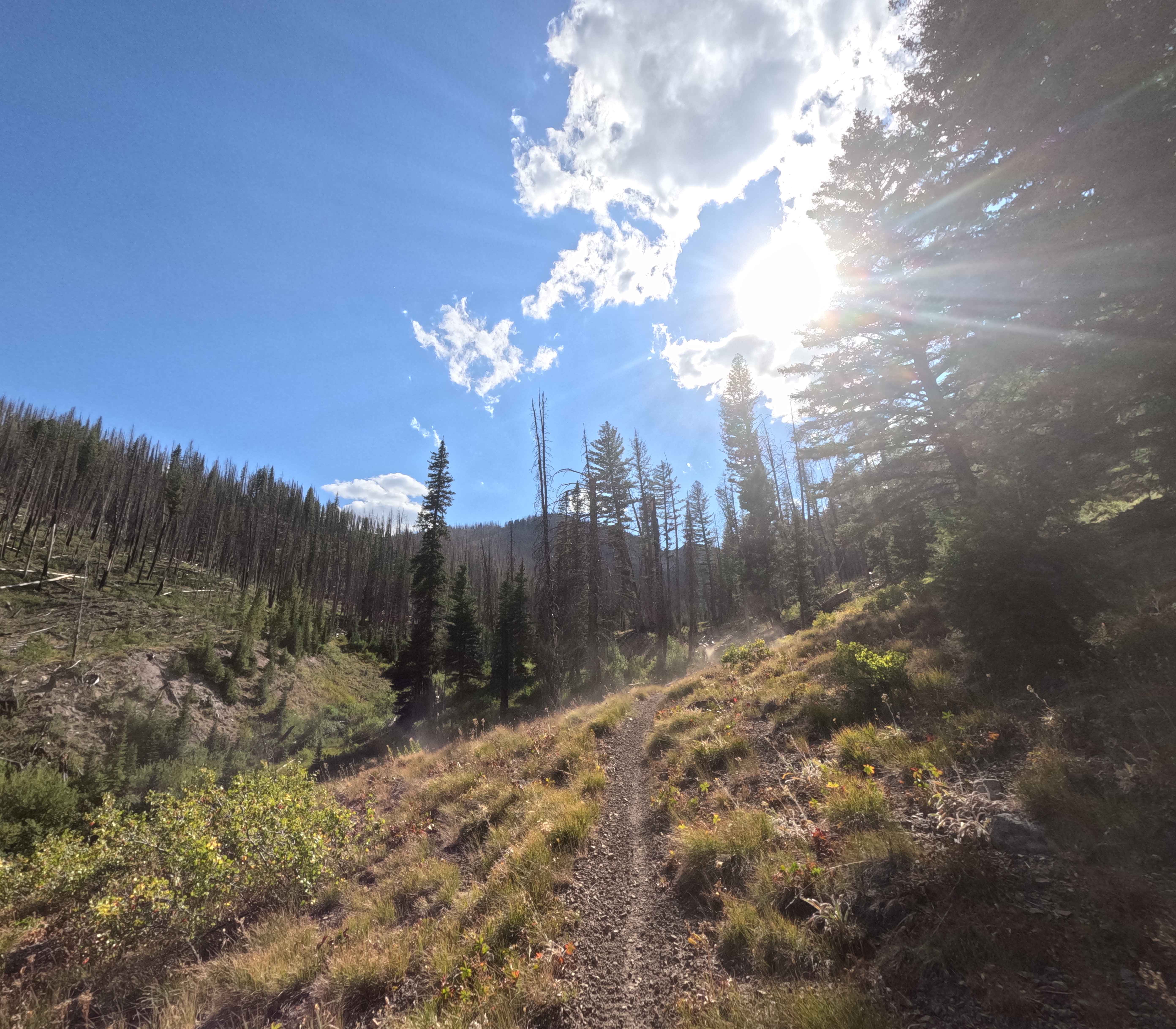 Placer Creek Trail - FS 7141