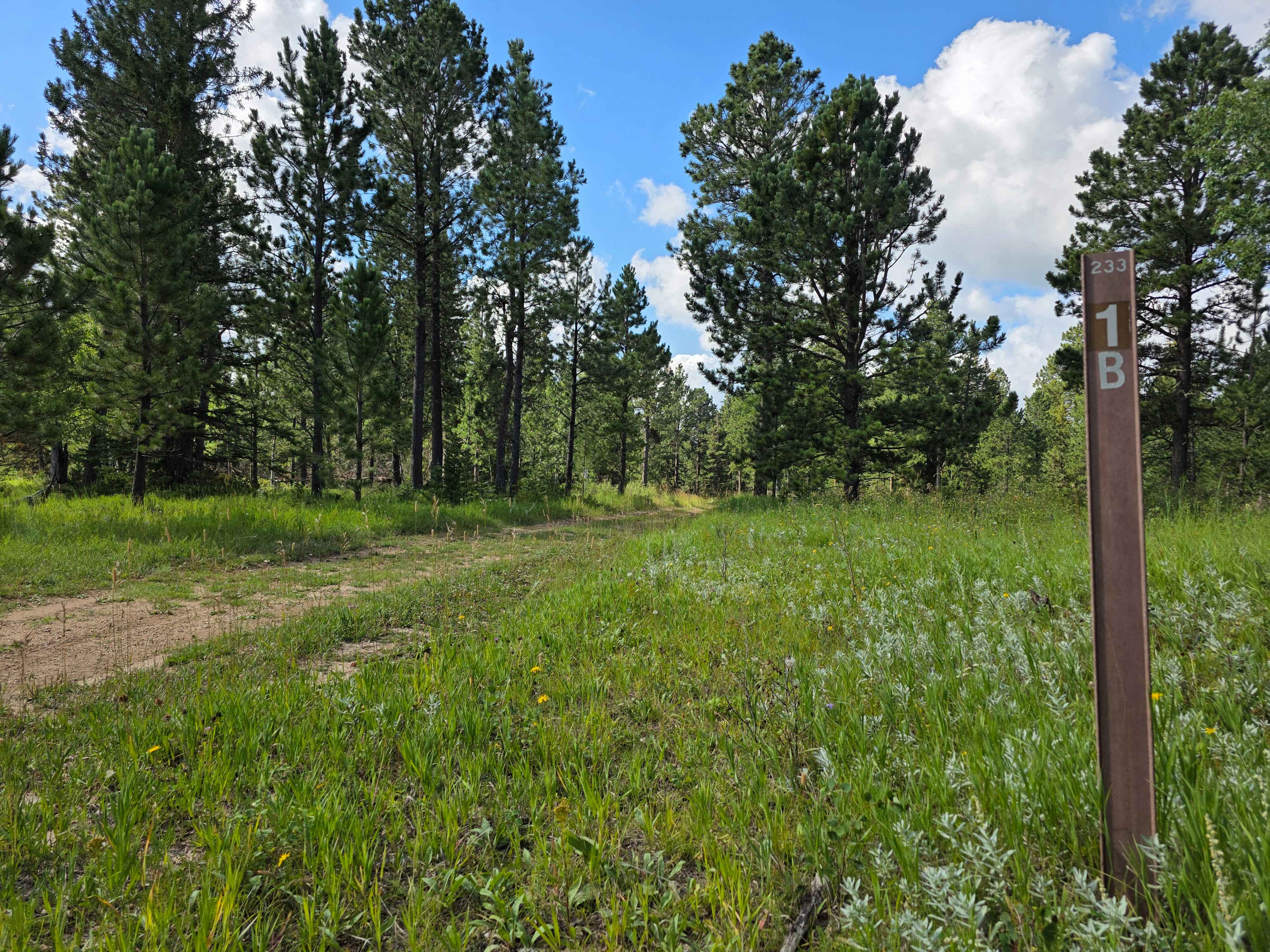 Rhoads Fork - FS 233.1B