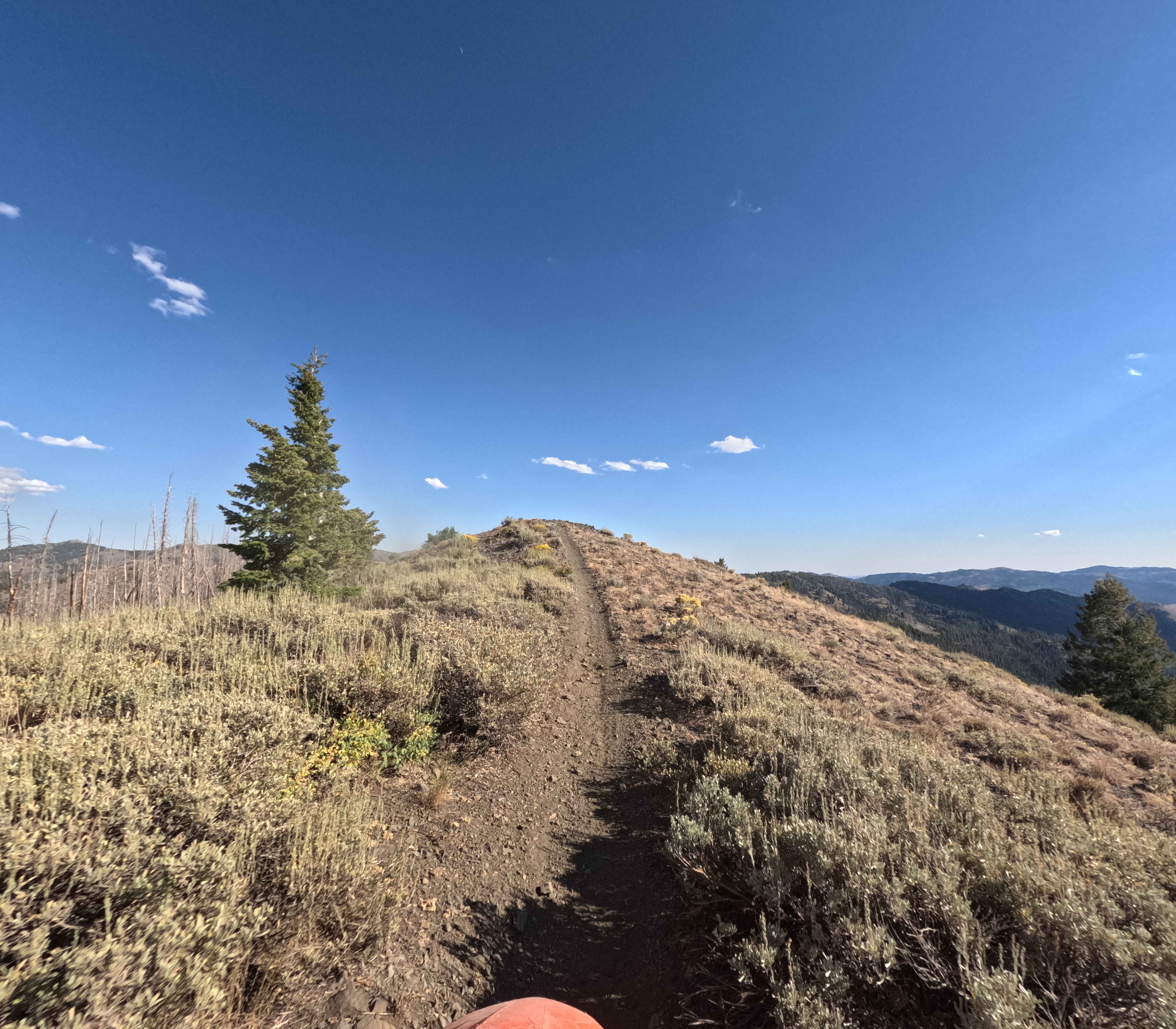 Middle Fork Warm Springs - FS 7150