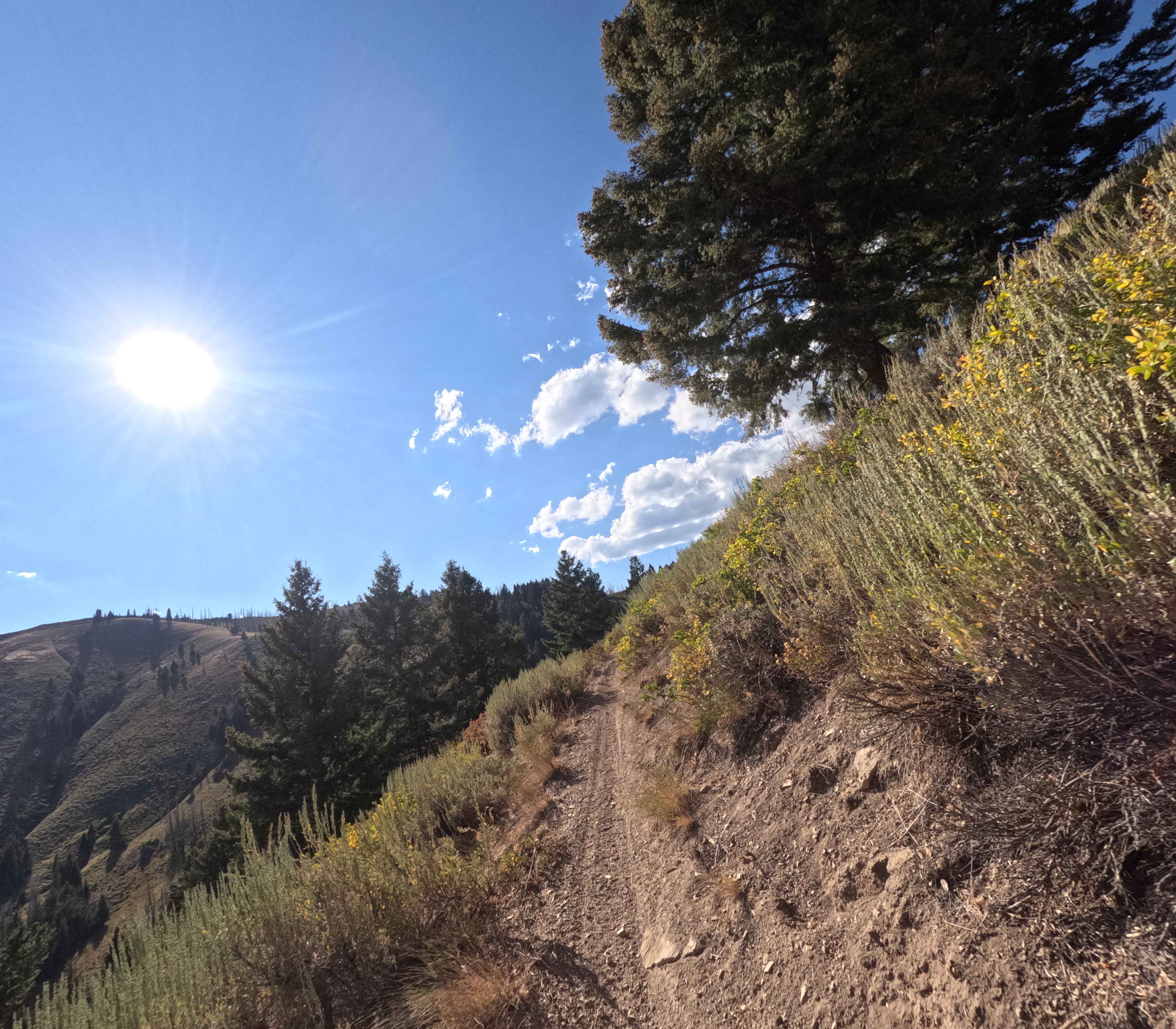 Middle Fork Warm Springs - FS 7150