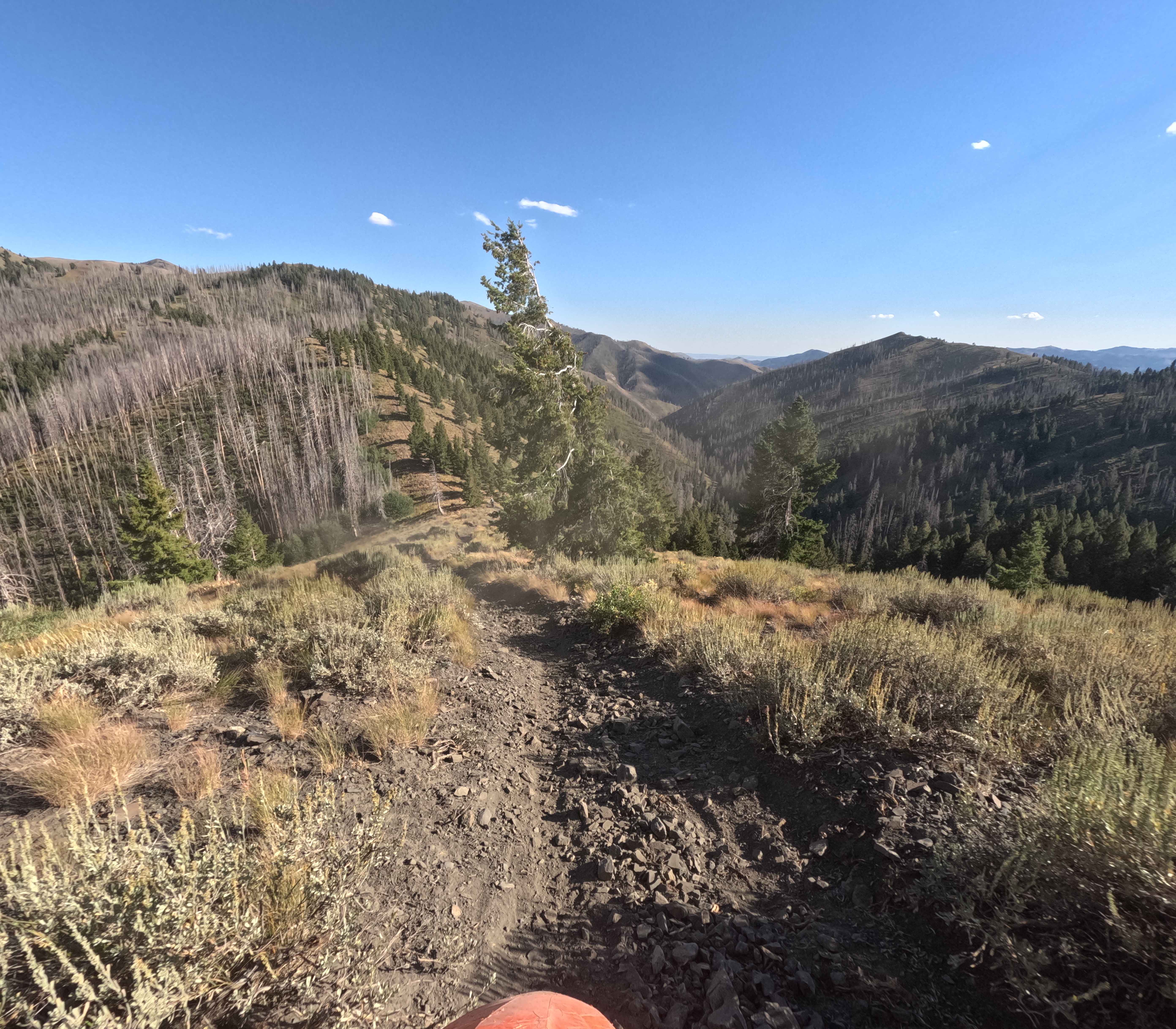 Middle Fork-South Fork 1 - FS 7199