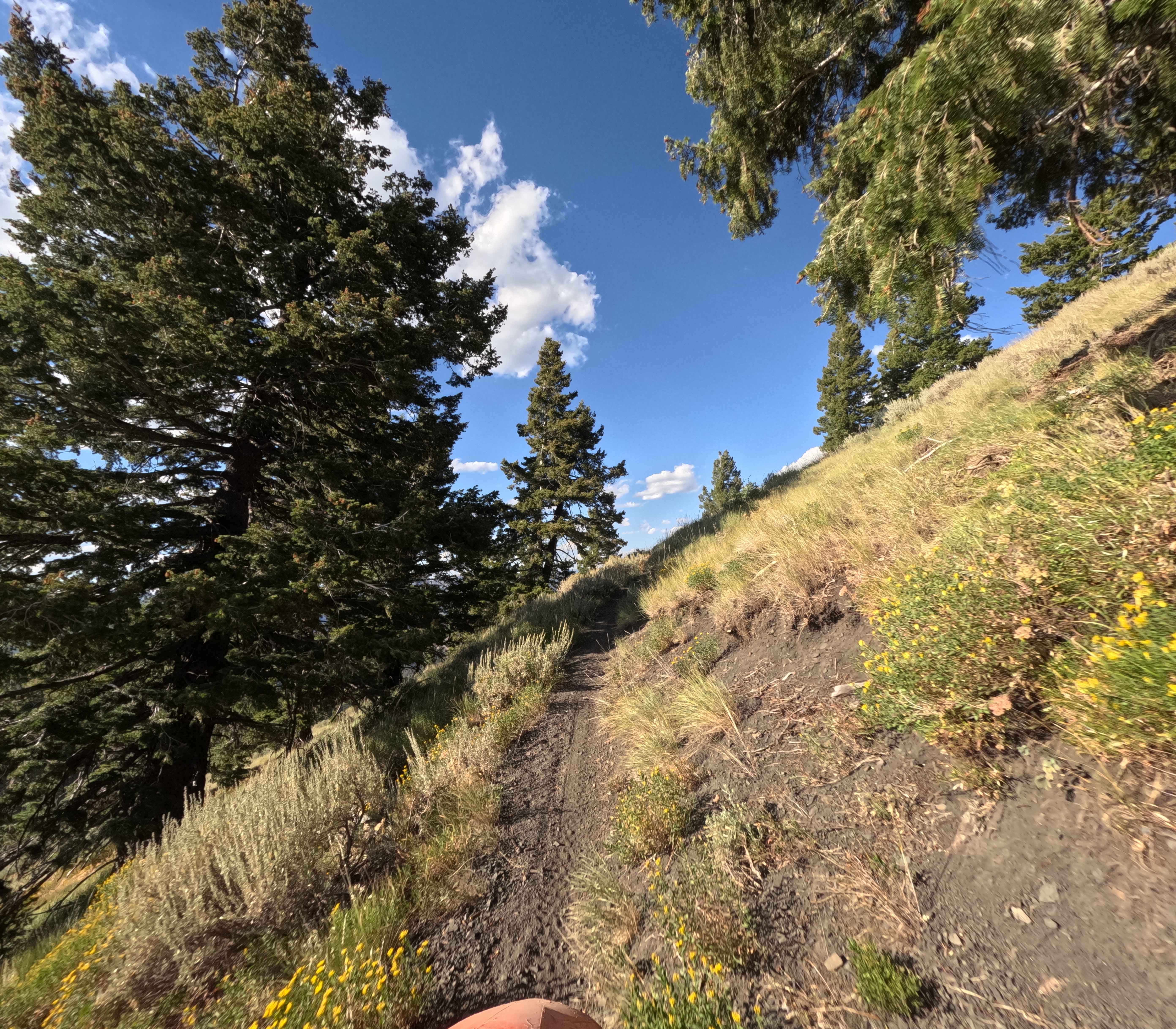 Middle Fork-South Fork 2 - FS 7199