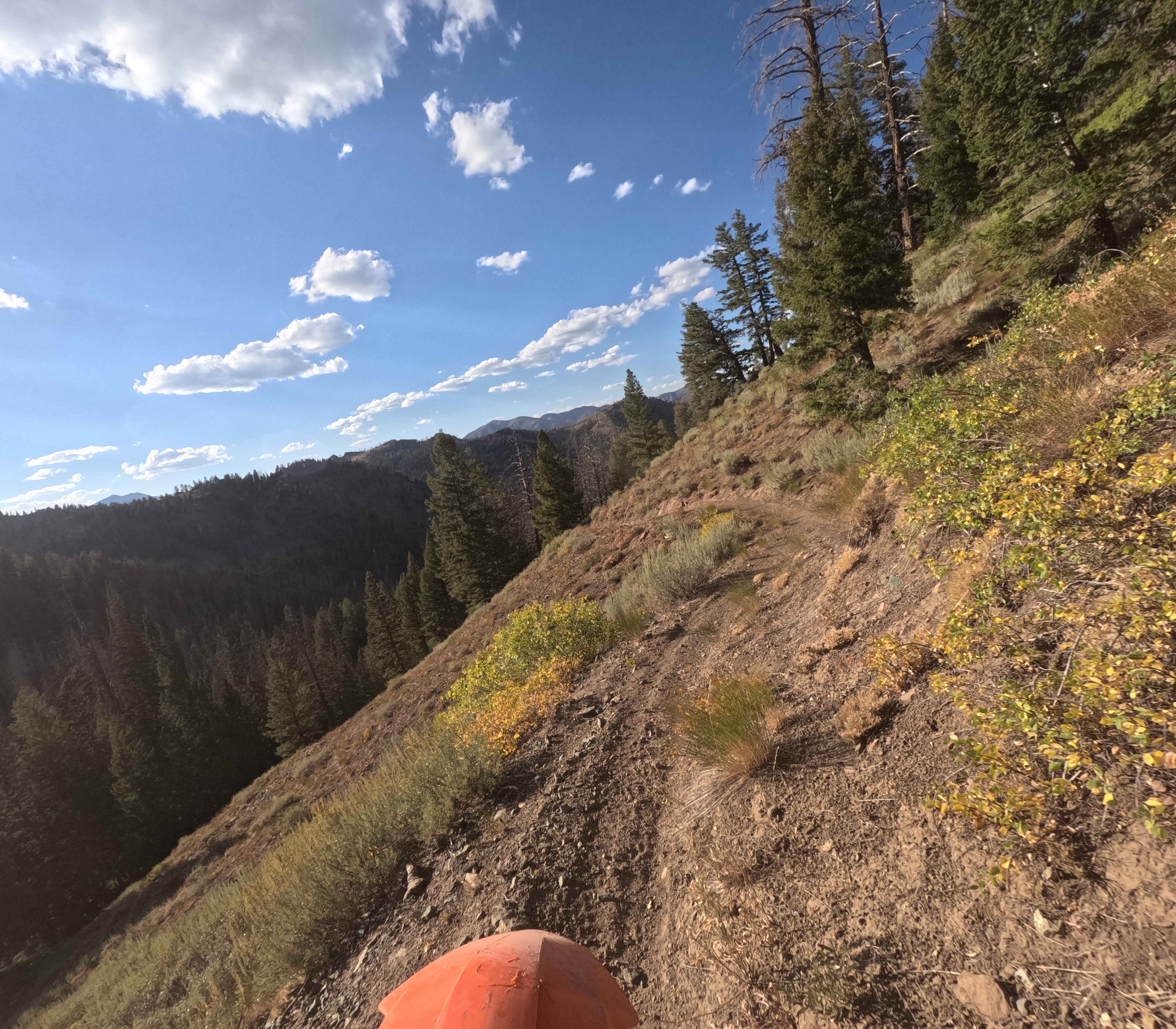 Warfield-South Fork - FS 7151