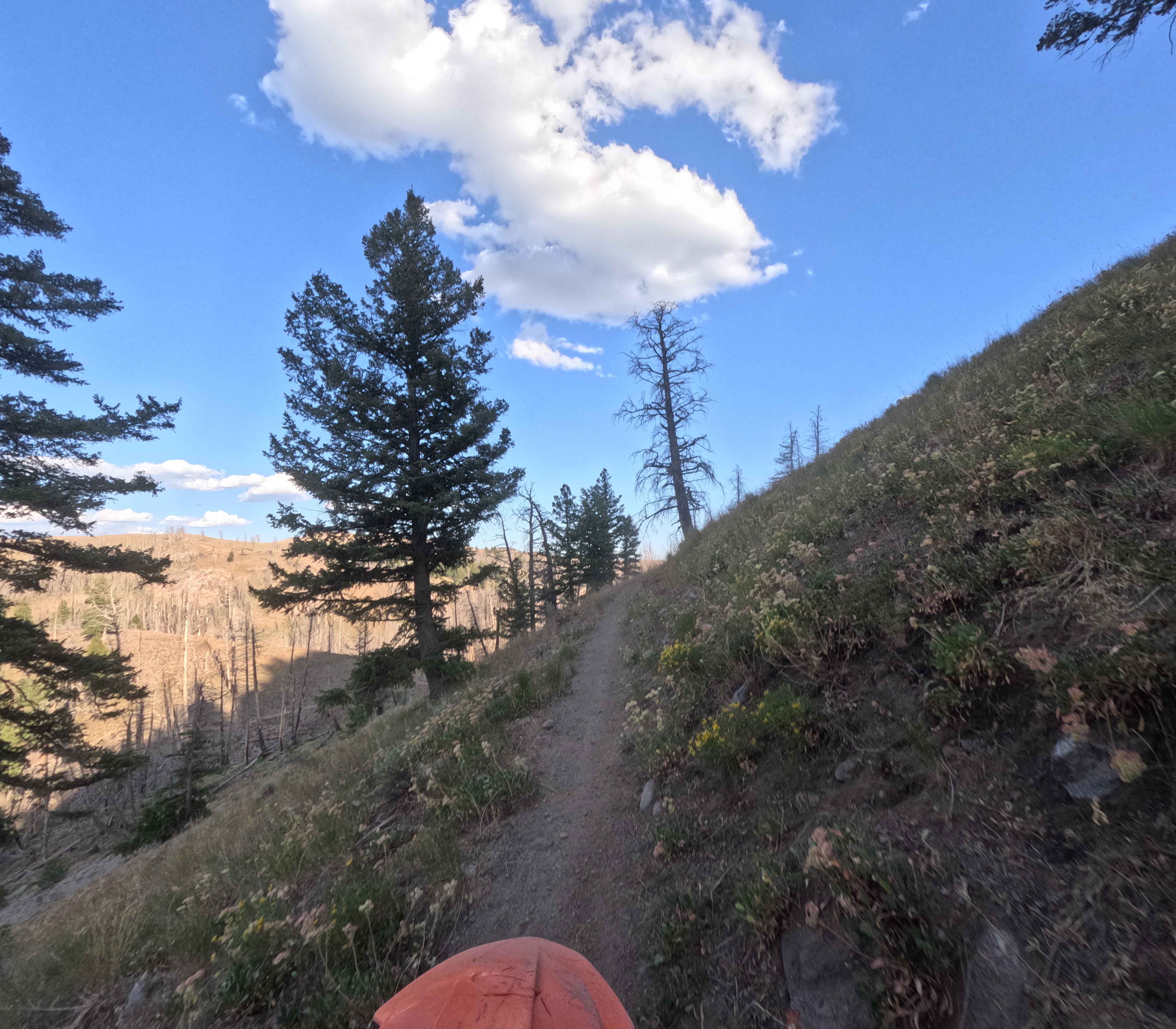 Warfield-South Fork - FS 7151