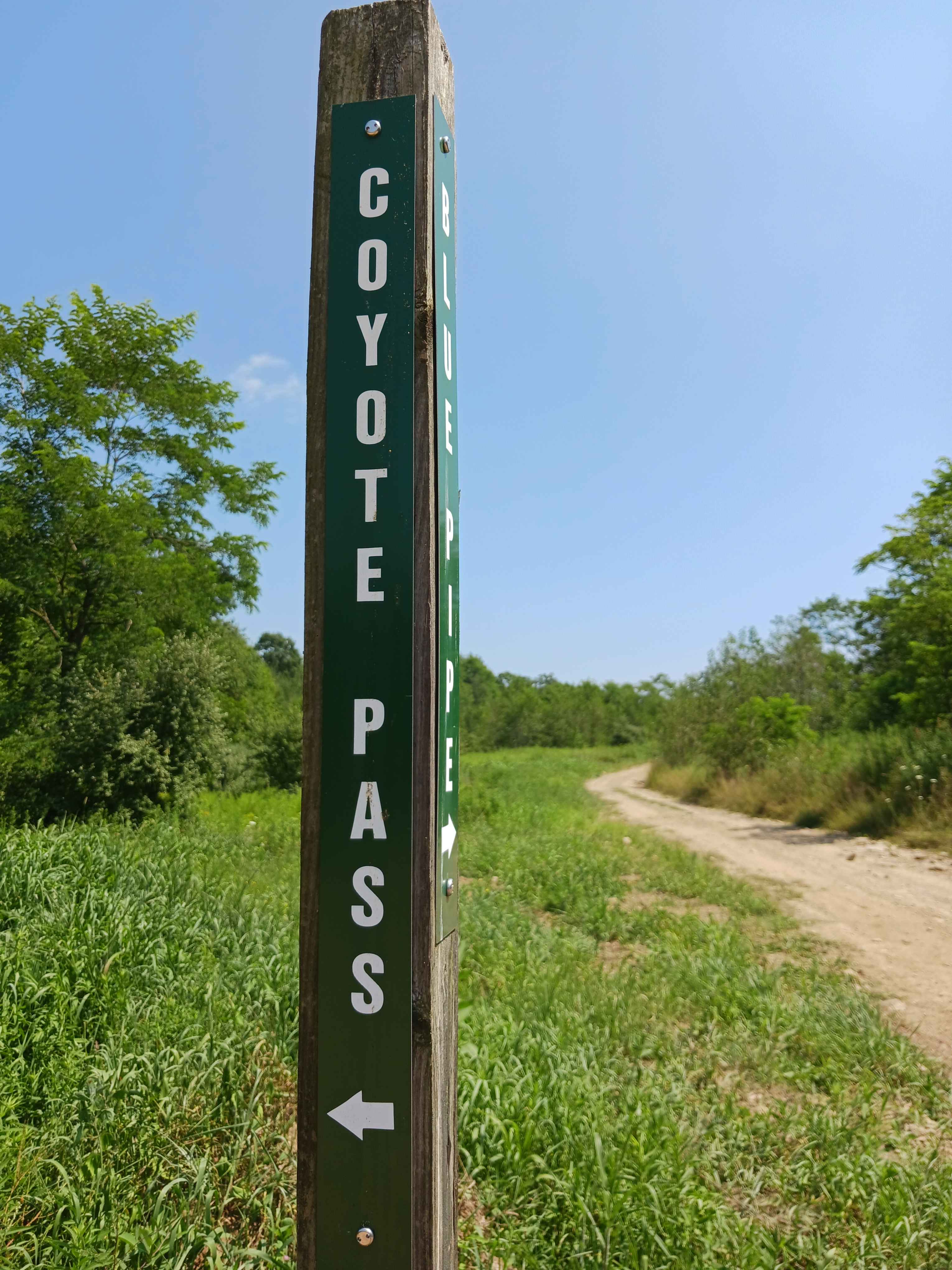 Coyote Pass Trail