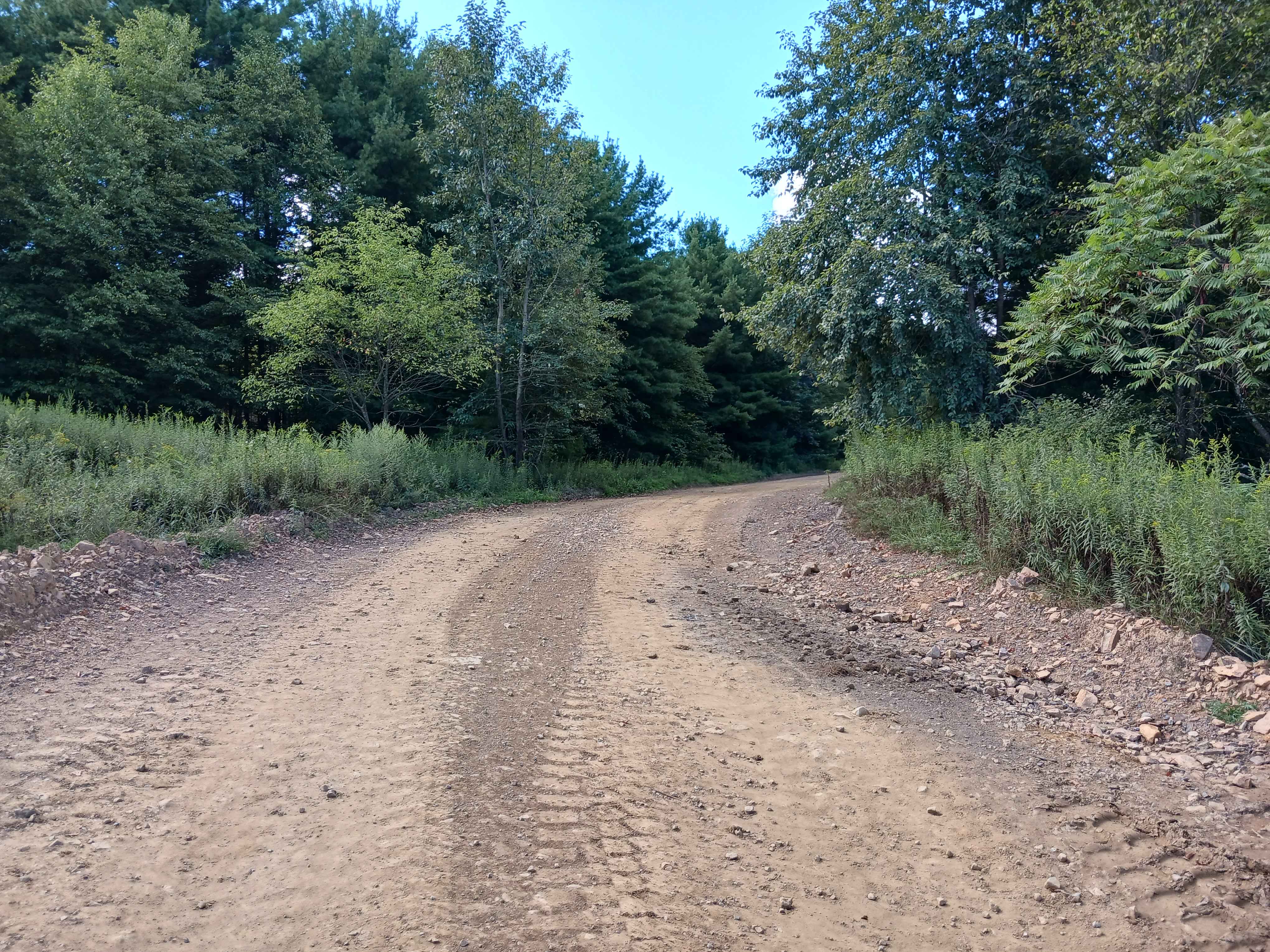 Radio Road - Rock Run Recreation Area