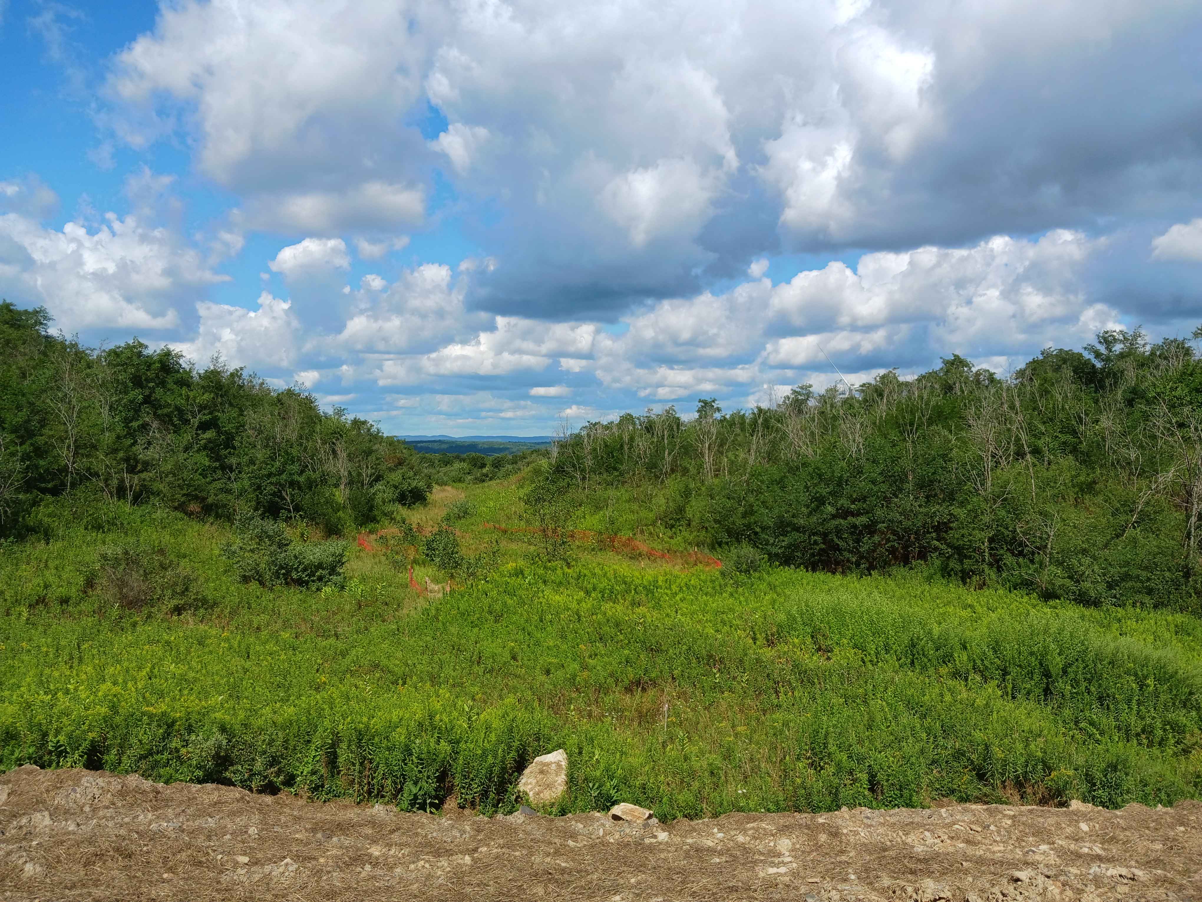 Play Pond Path Blue Trail - Rock Run Recreation Area