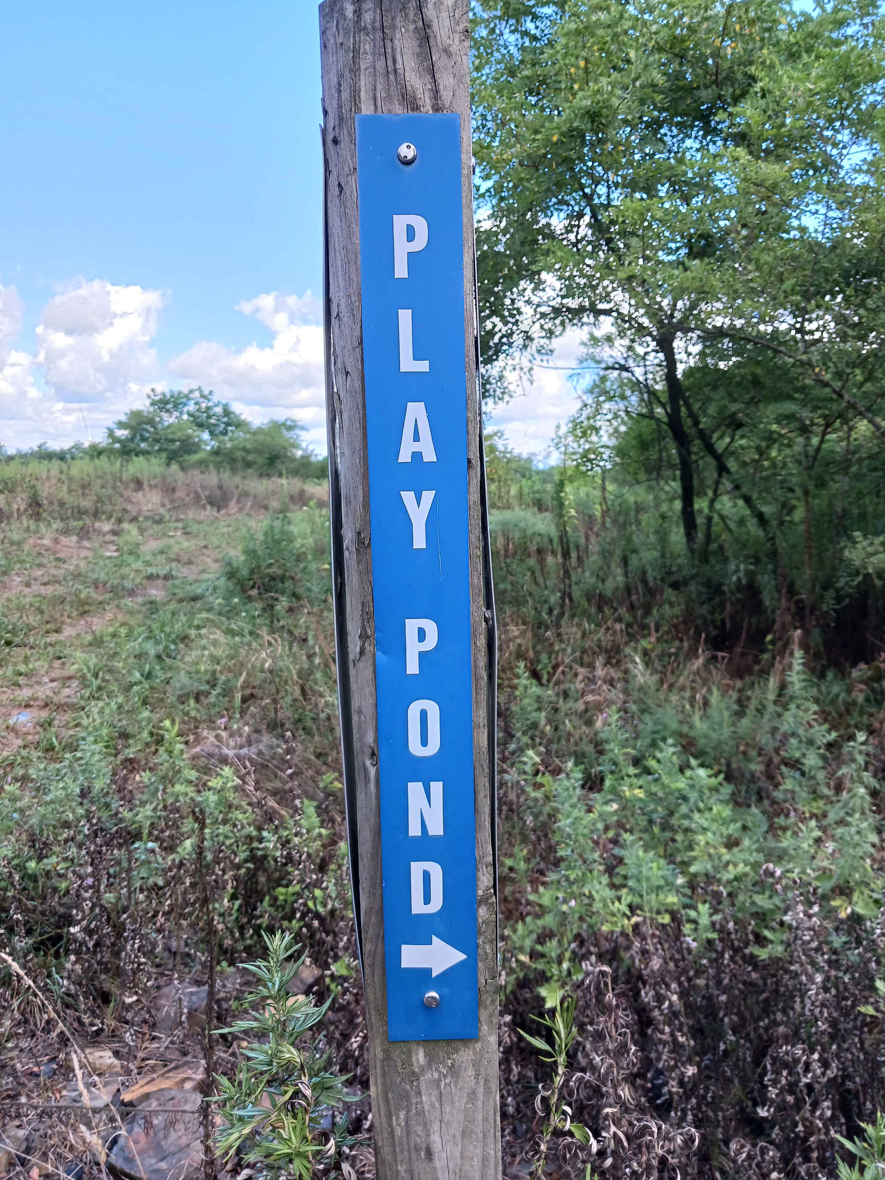 Play Pond Path Blue Trail - Rock Run Recreation Area