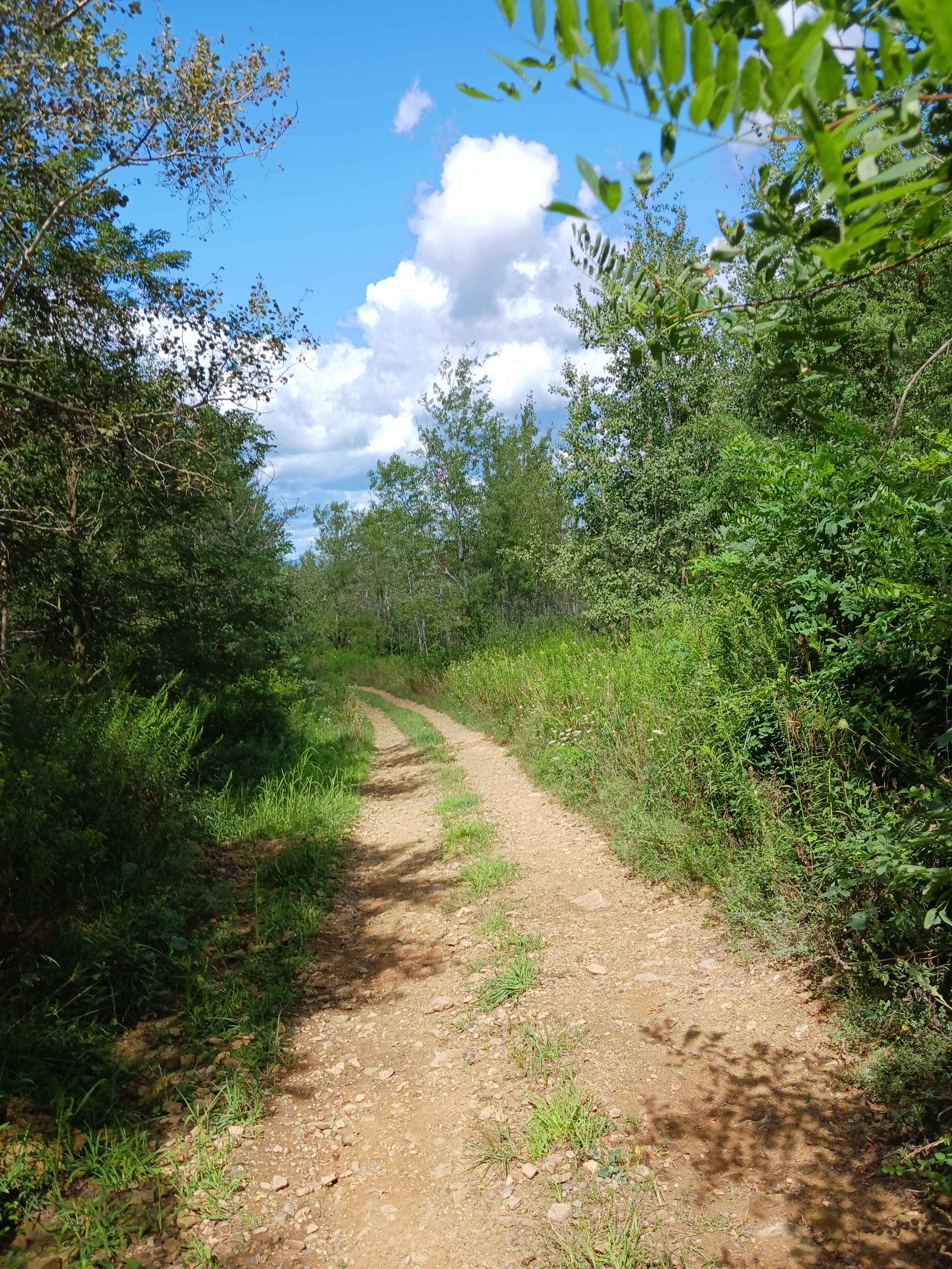 Hop Run - Rock Run Recreation Area