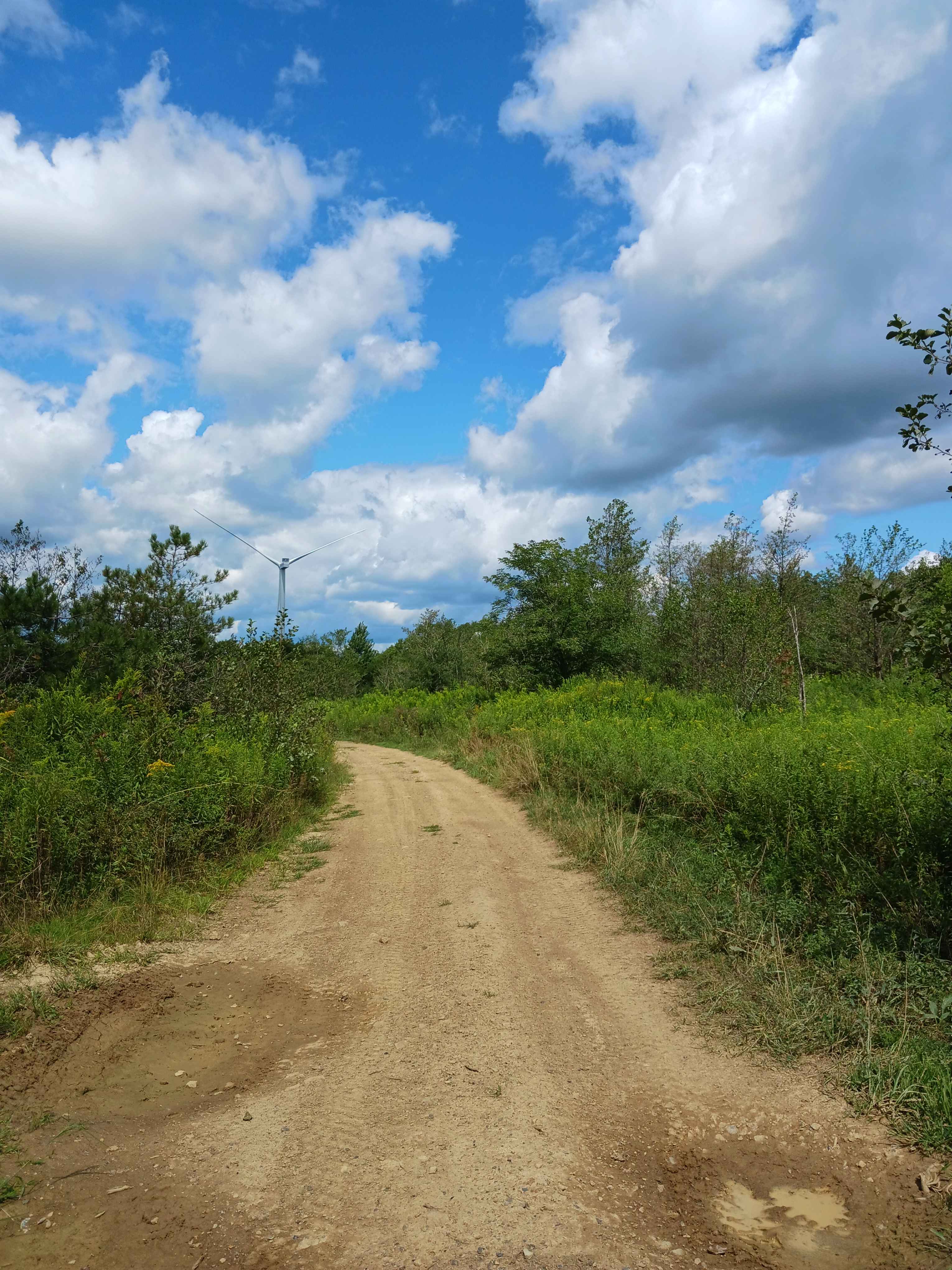 Rhino Loop - Rock Run Recreation Area