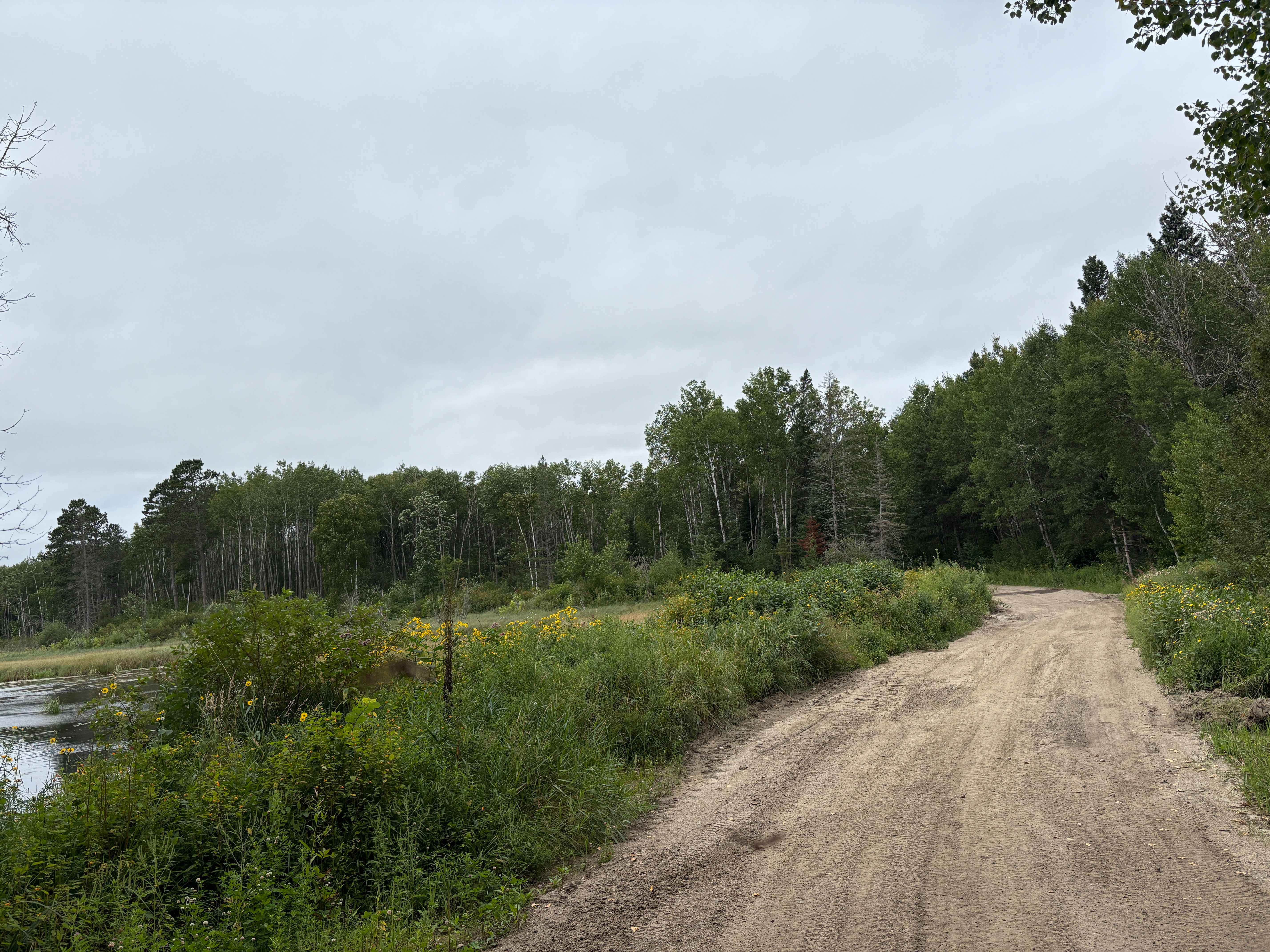 Old Many Point Trail