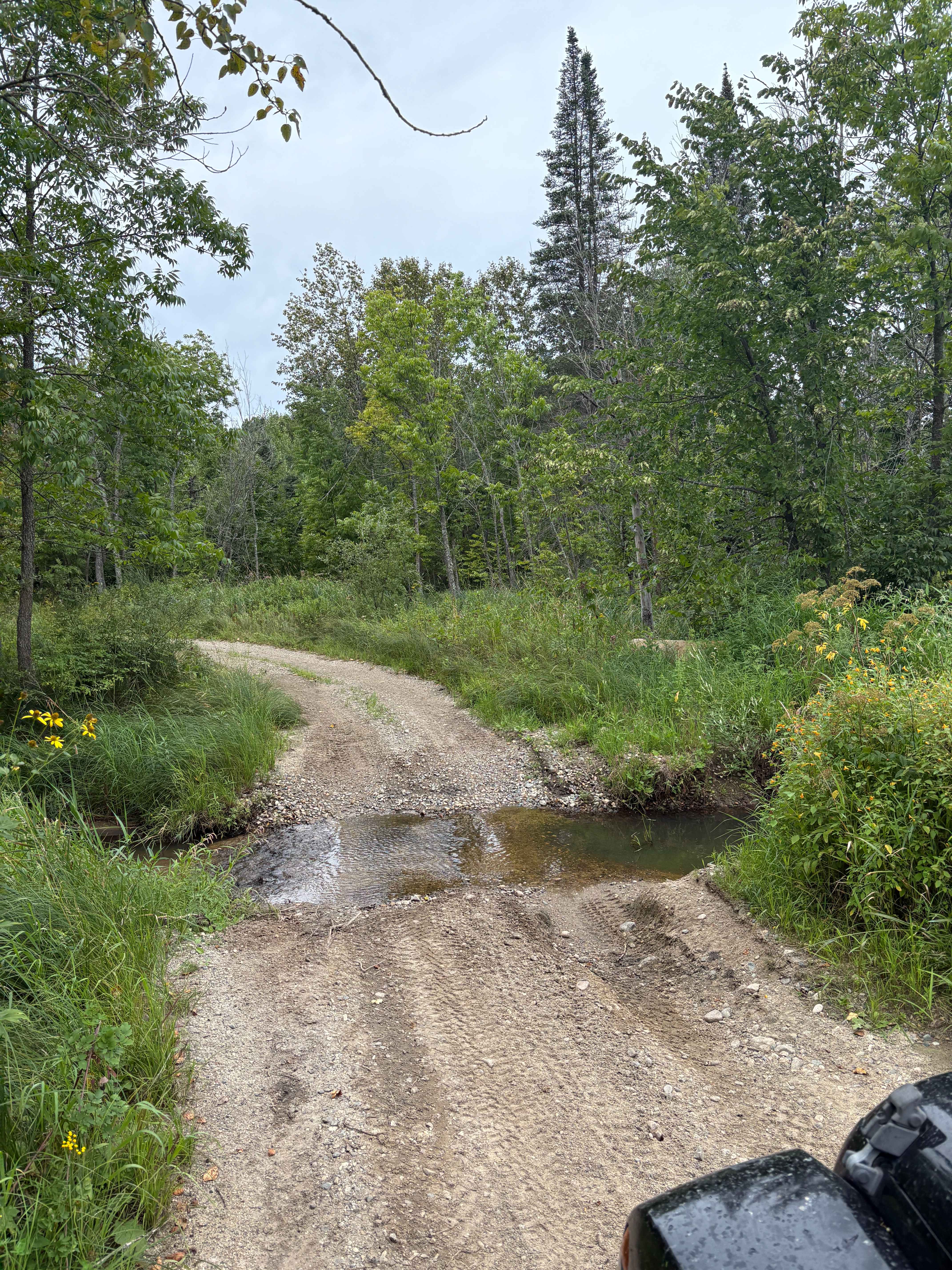 Old Many Point Trail