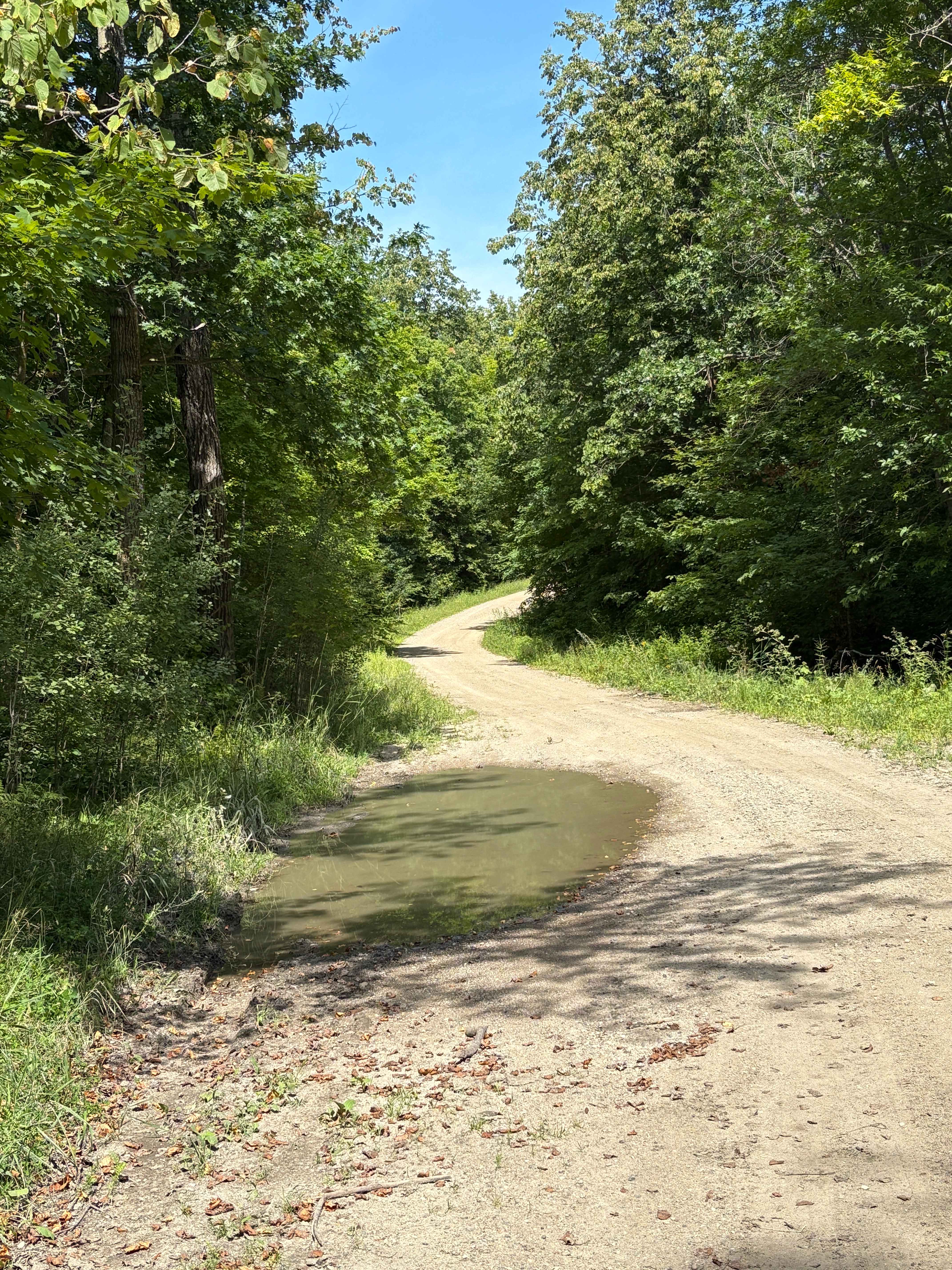 Mary Yellowhead Trail