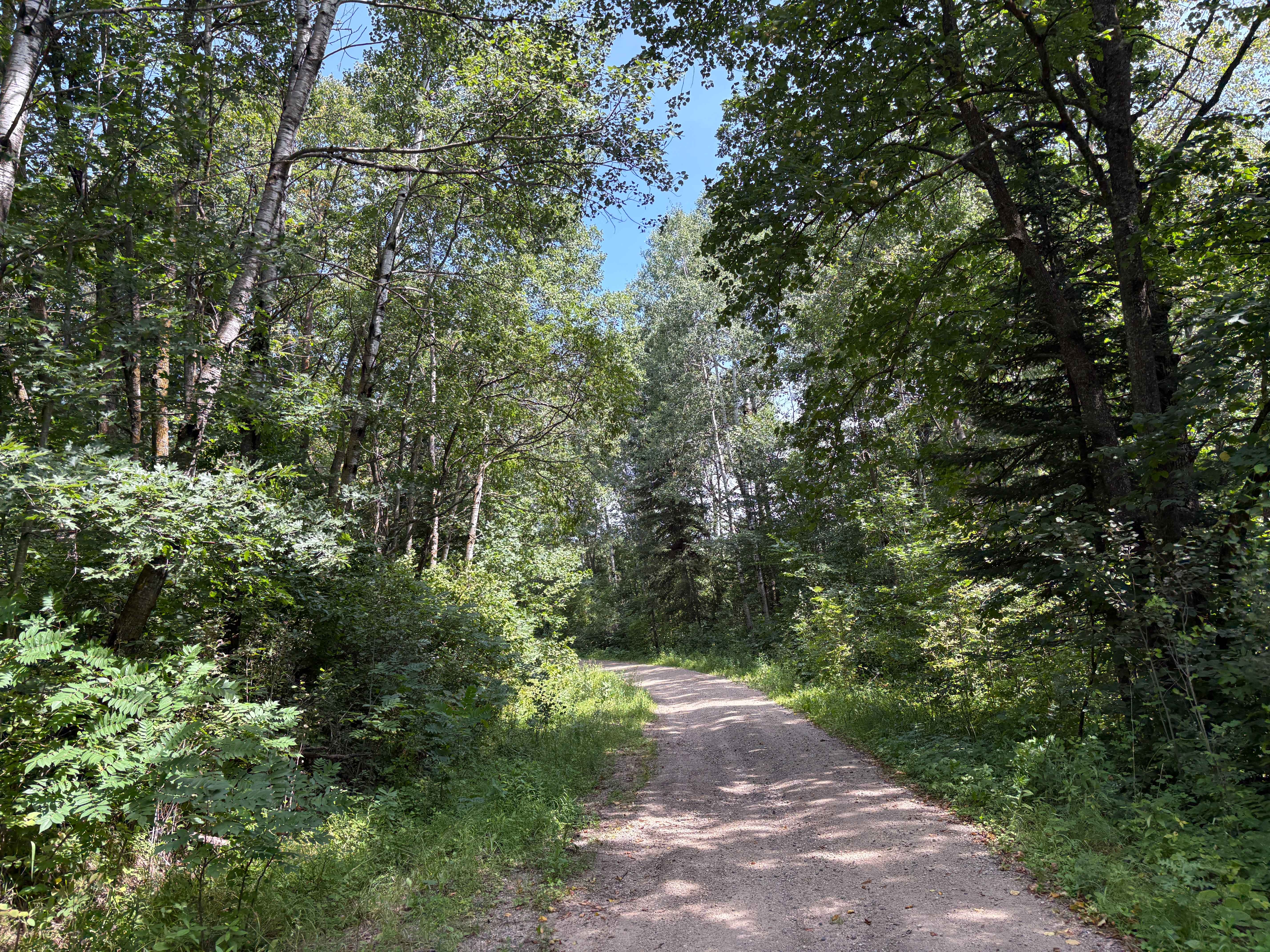 Mary Yellowhead Trail