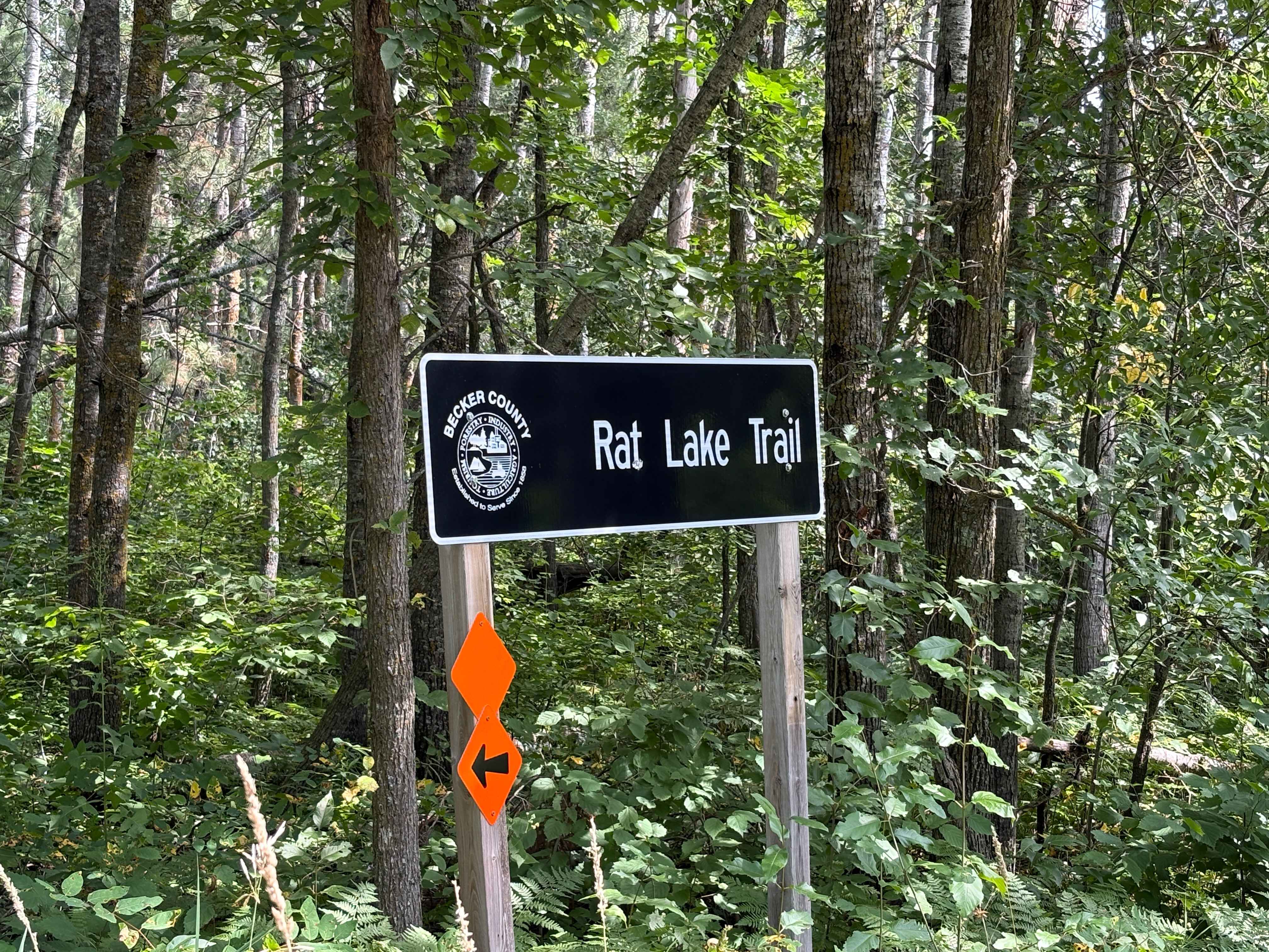 Rat Lake Trail