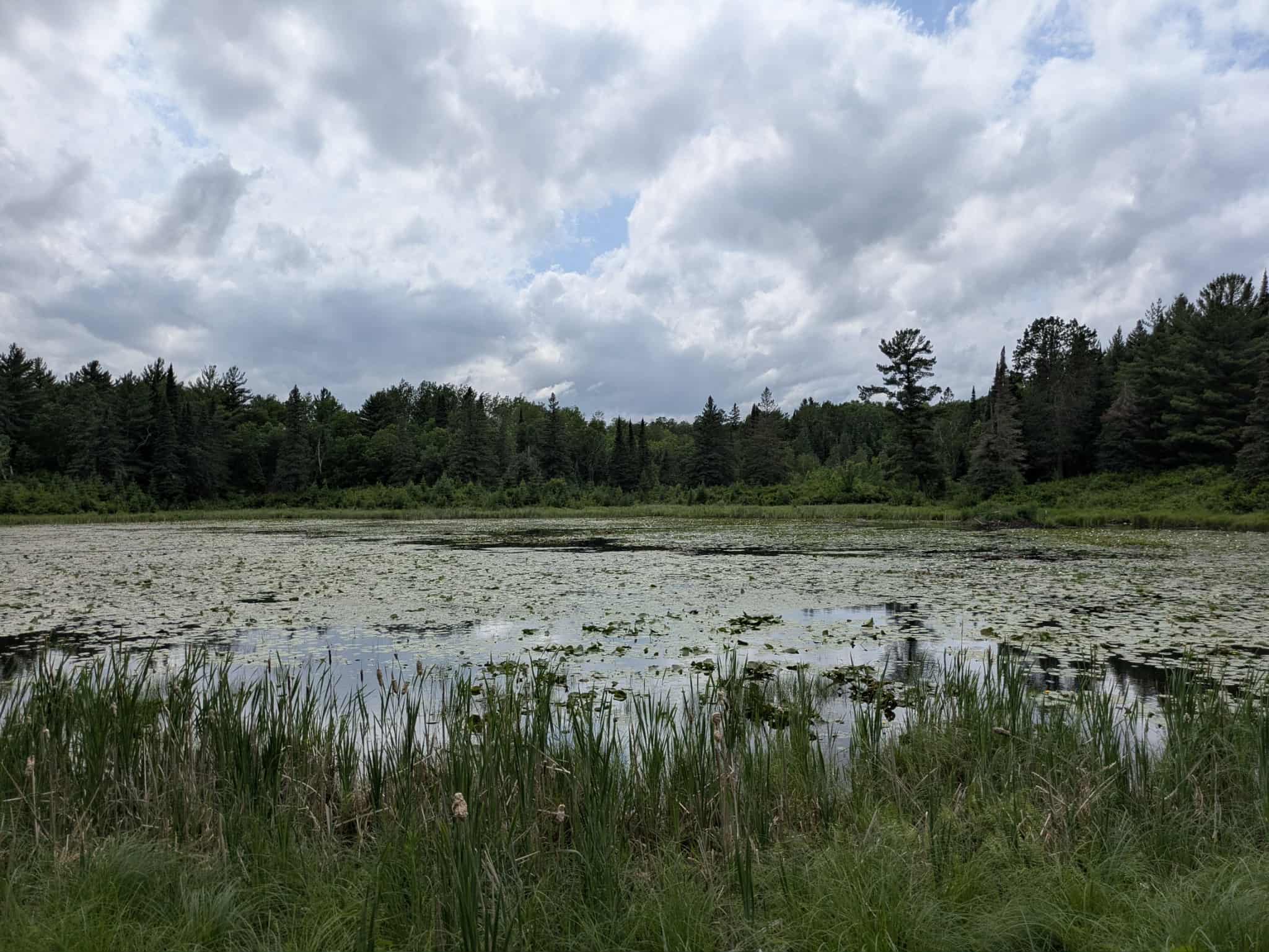Saubtine Road Northwest