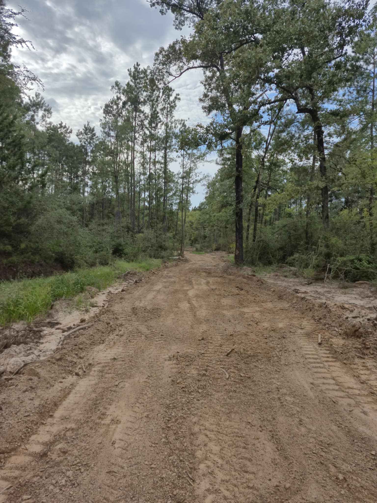 Main - CG 5 to South Fence