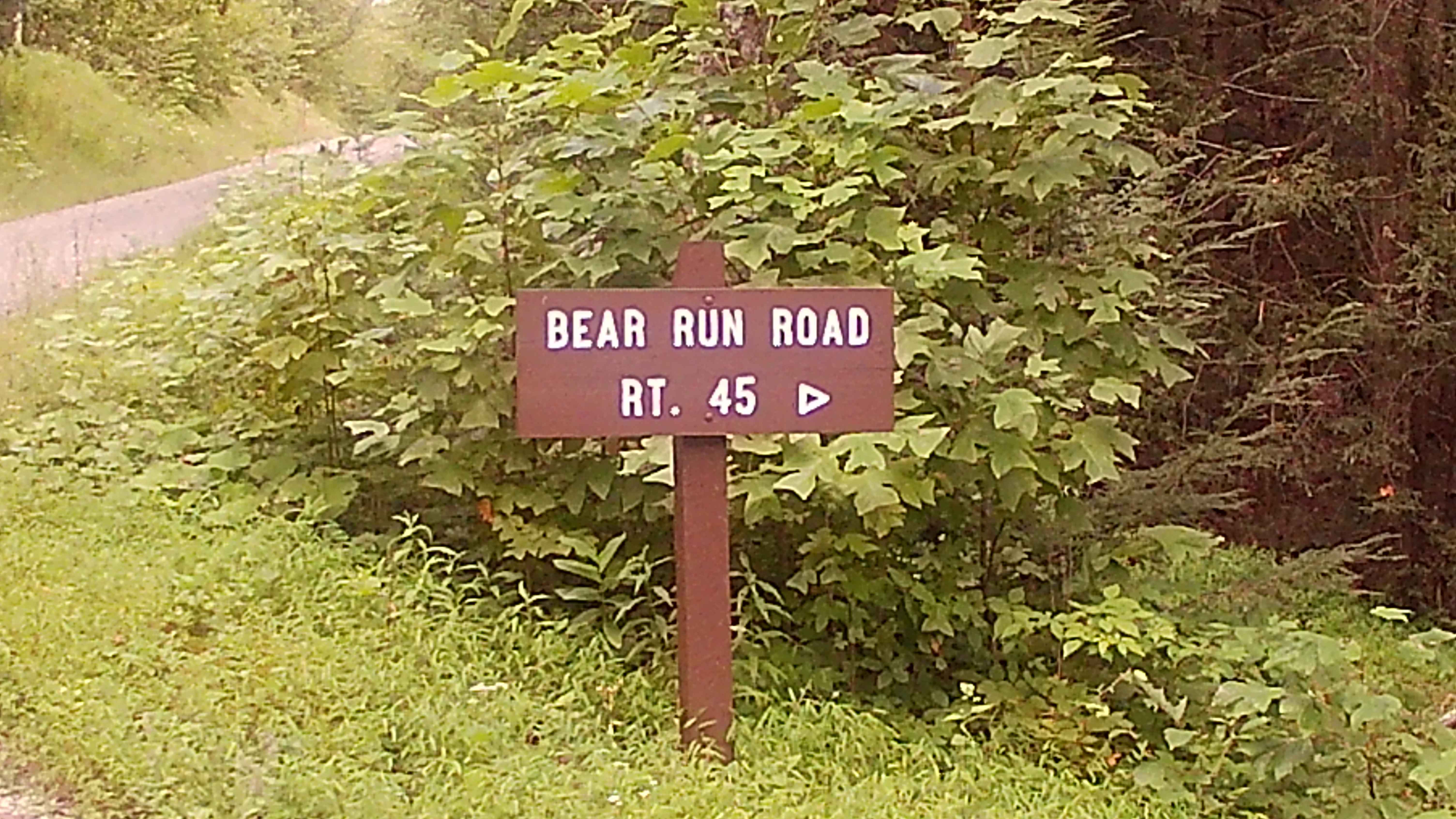 Bear Run Road