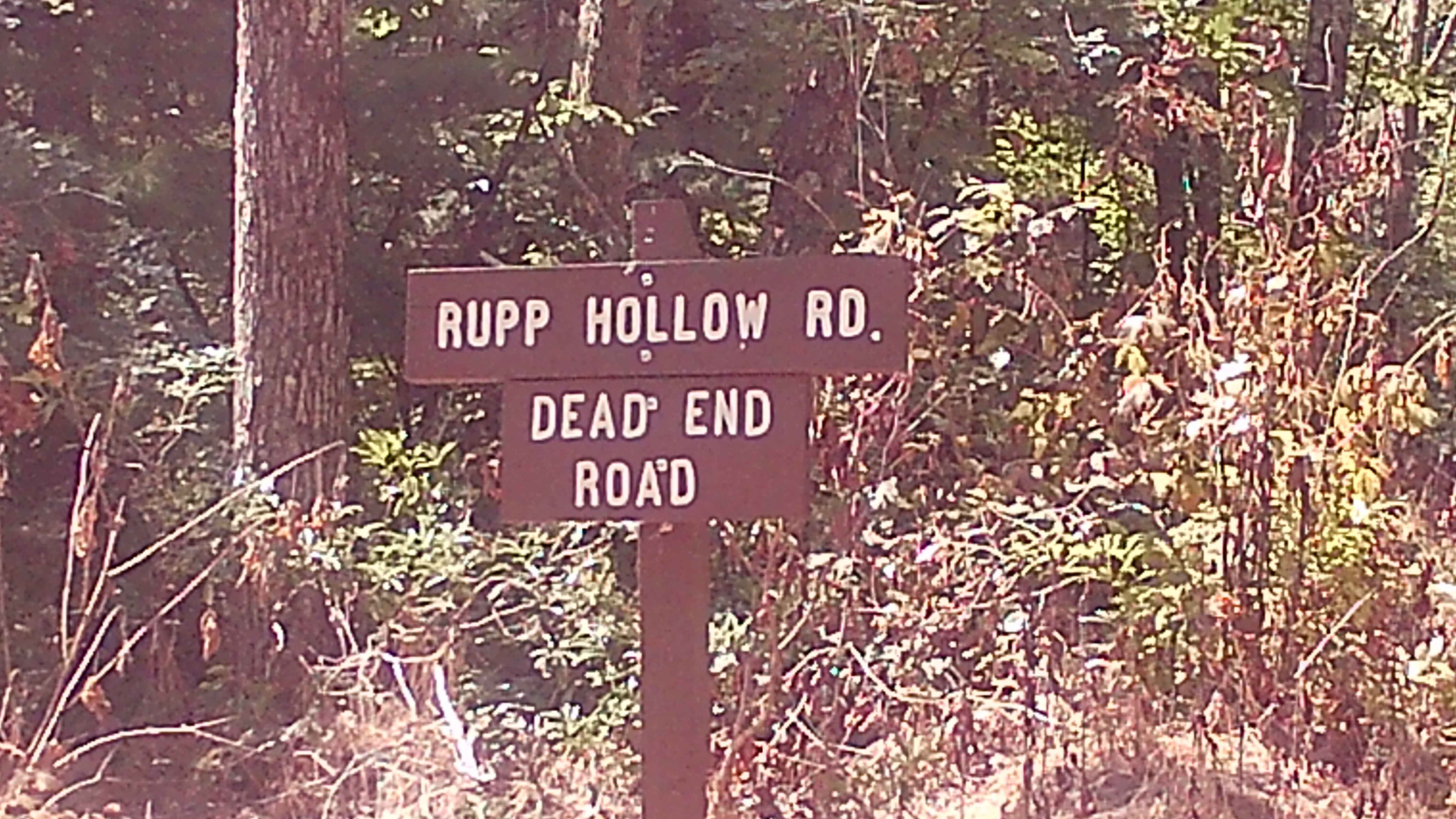 Rupp Hollow Road