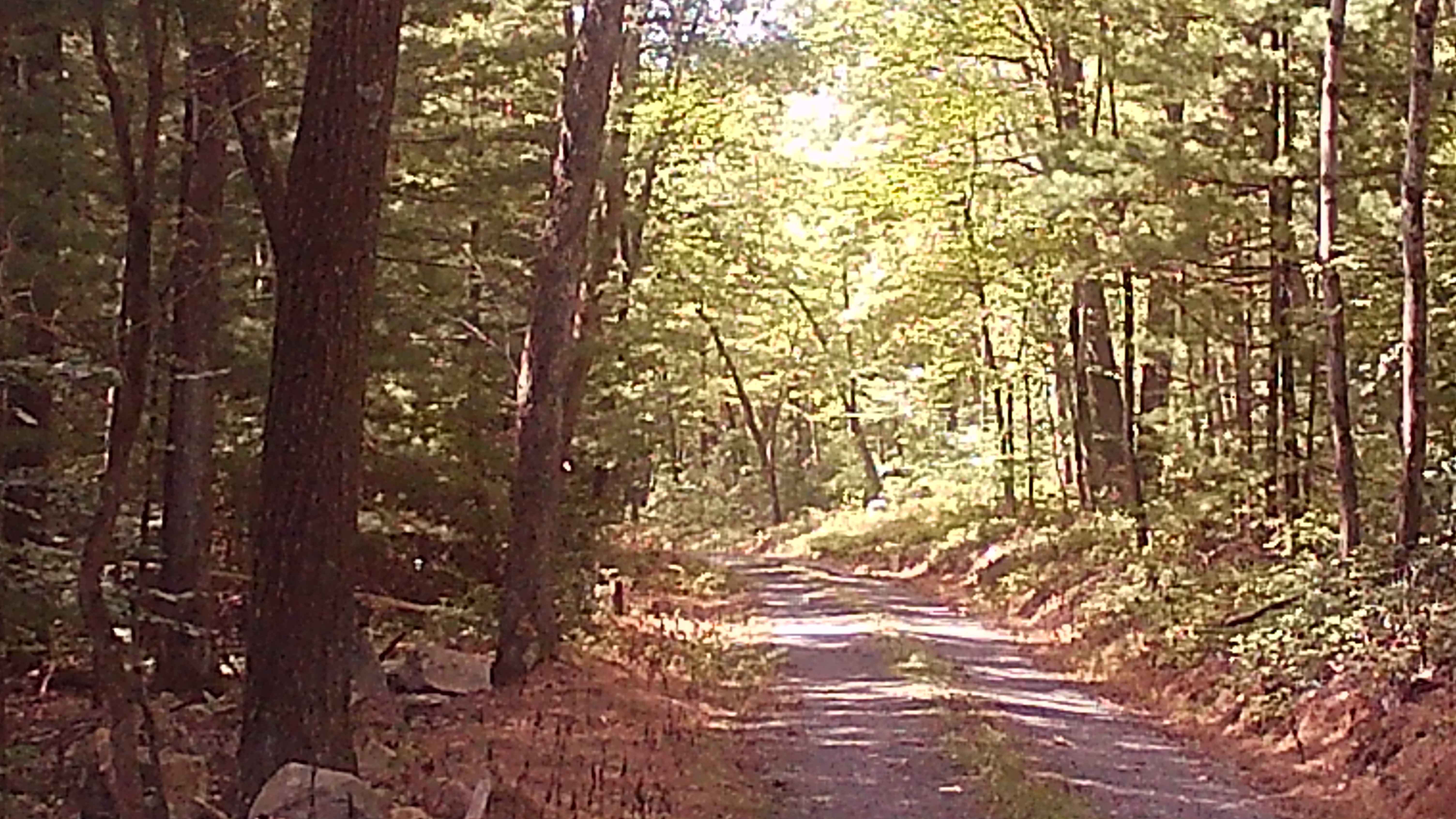 Rupp Hollow Road