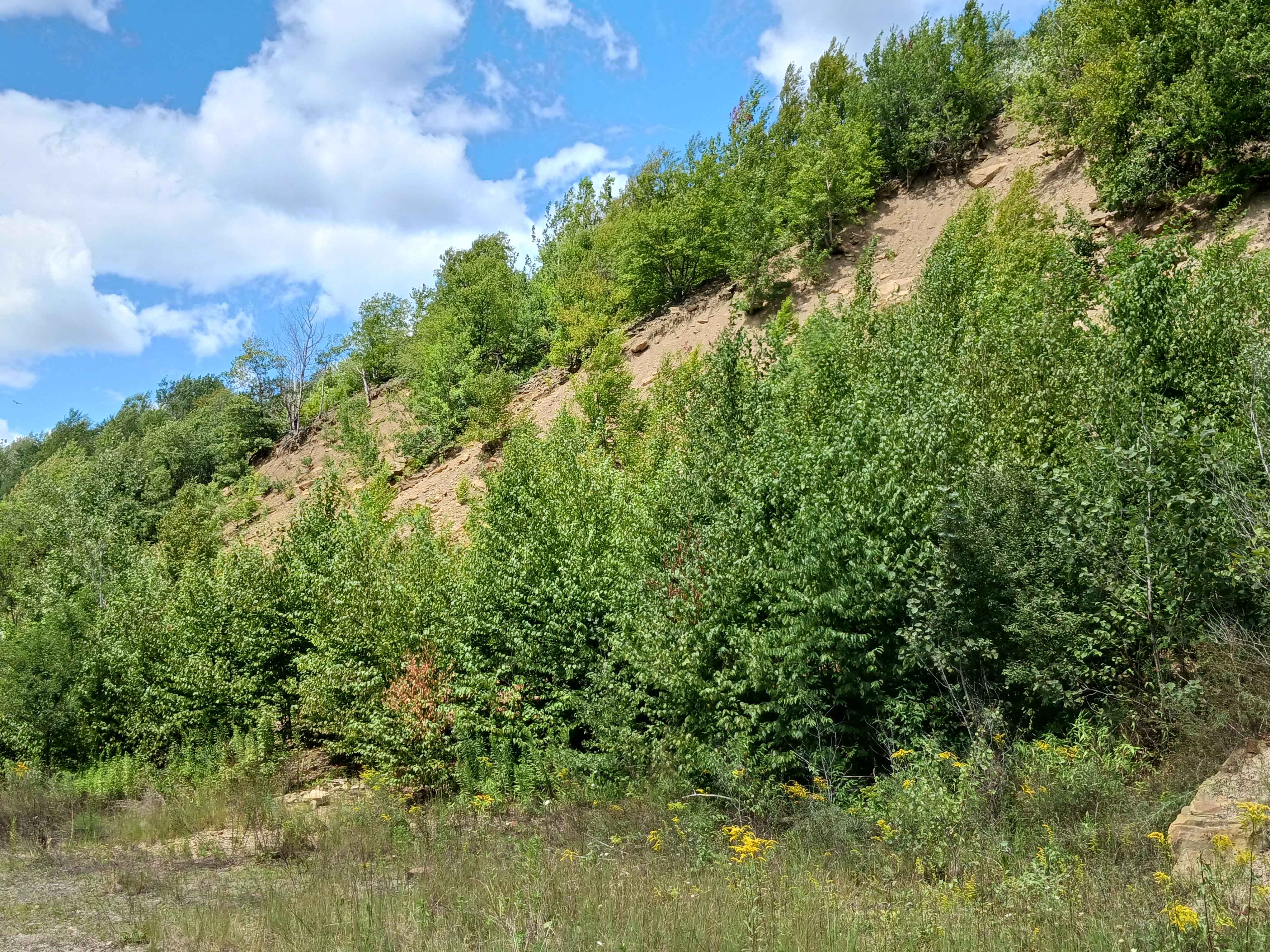 Remediation Drive - Rock Run Recreation Area