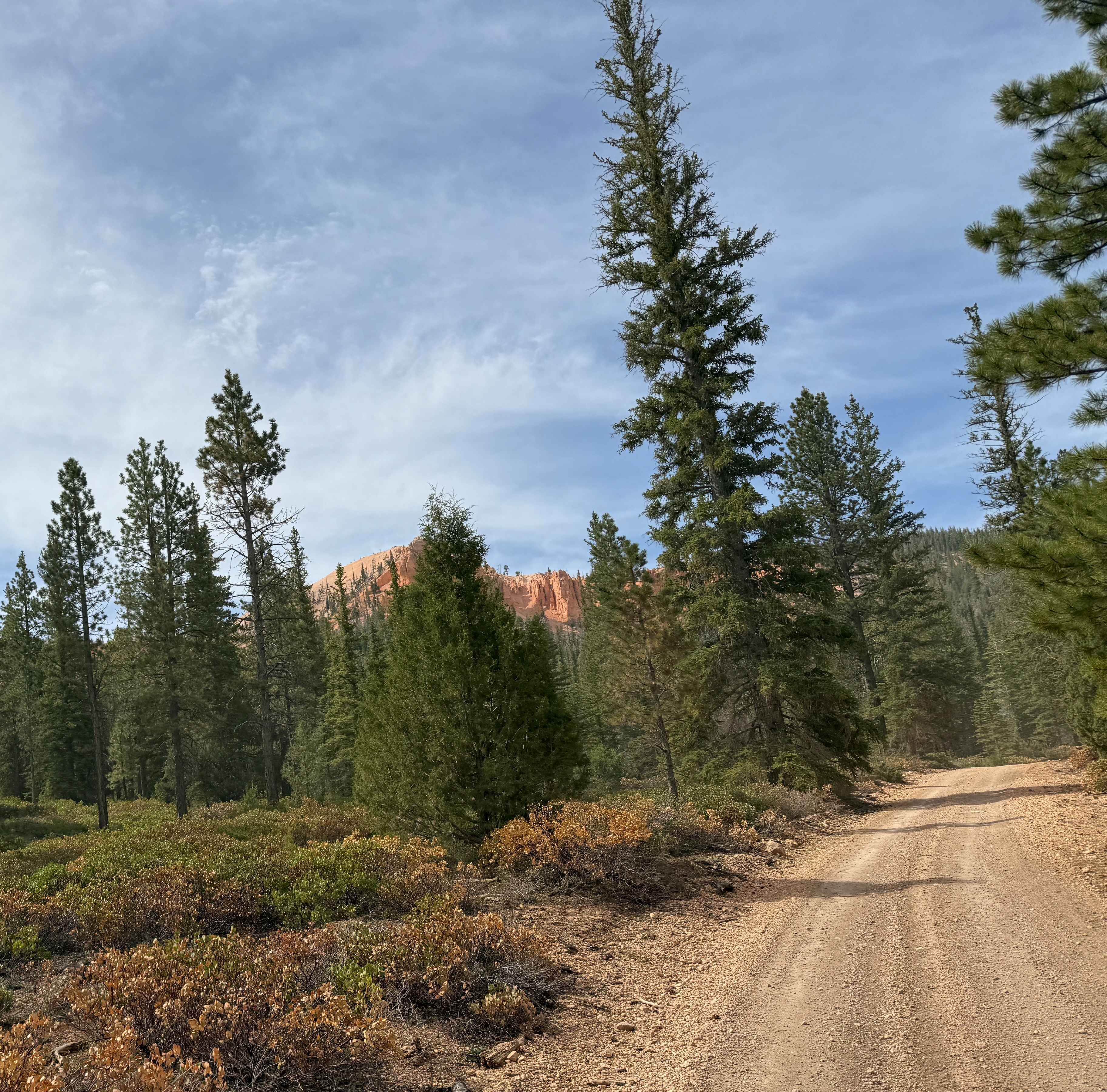 Badger Creek (32003)