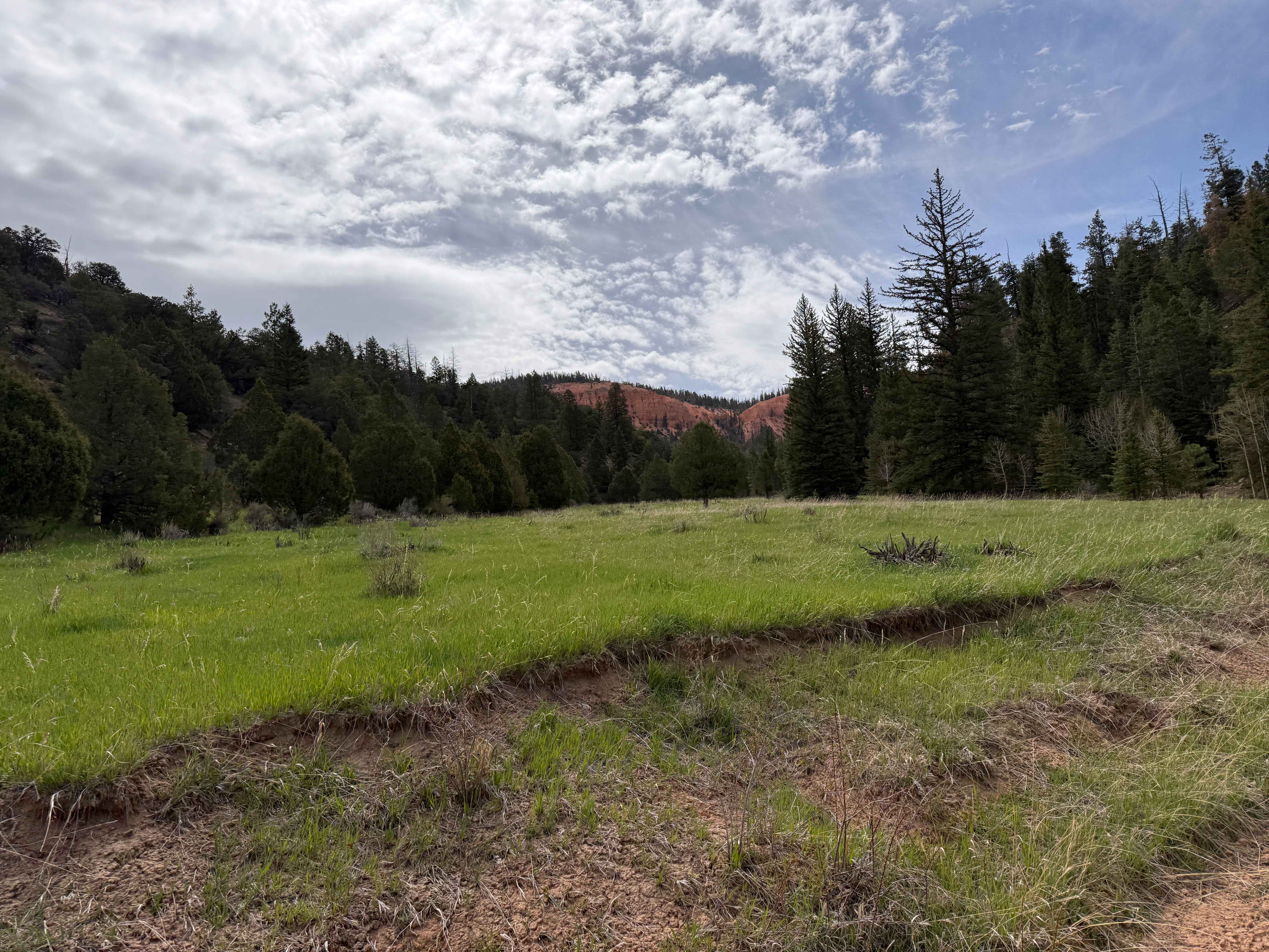 Badger Creek (32003)