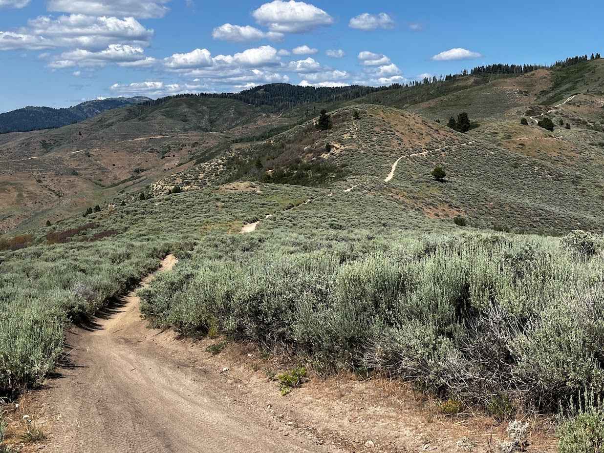 Femrite's Patrol Trail 6