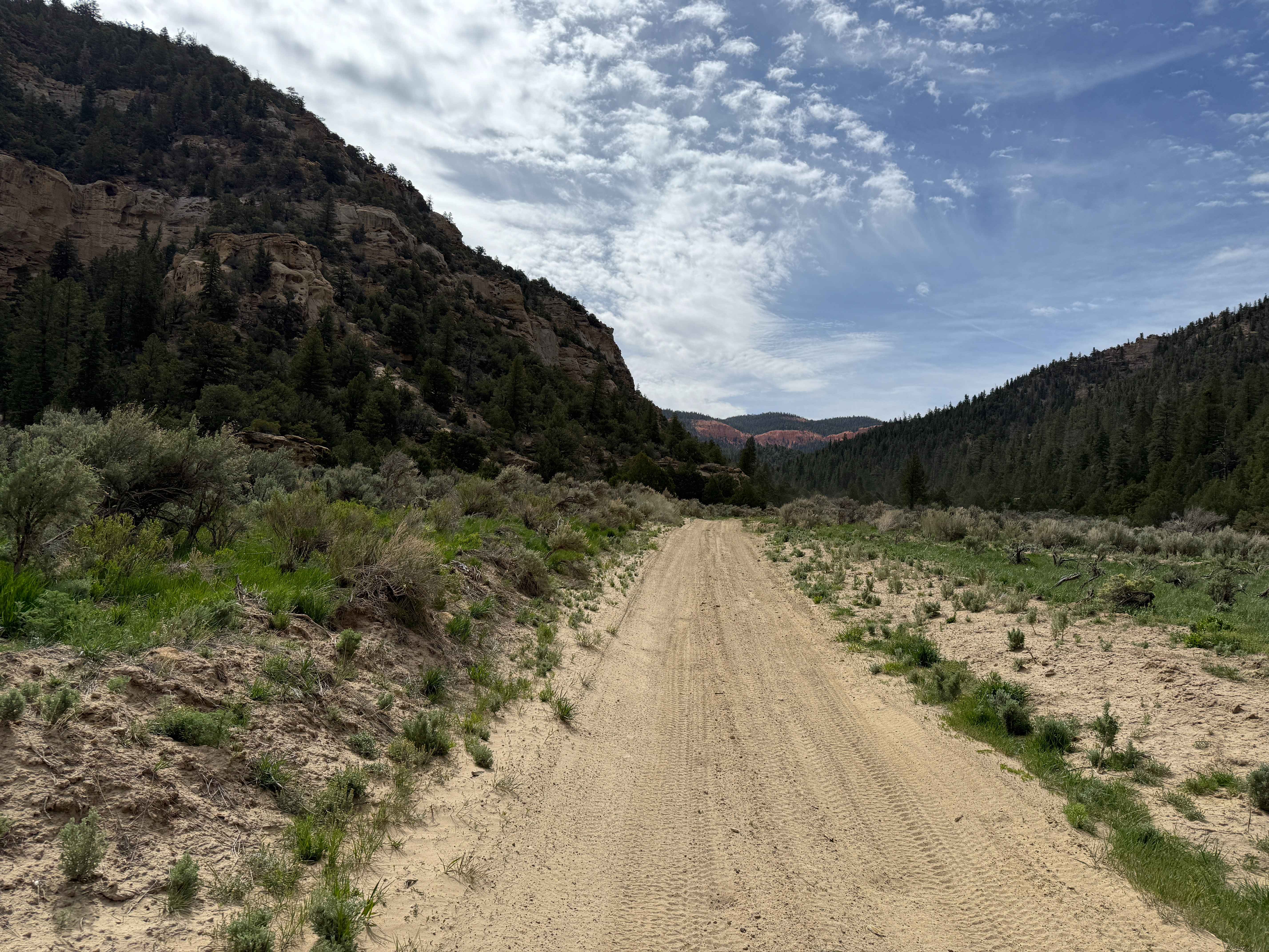 Proctor Canyon - FS 30109