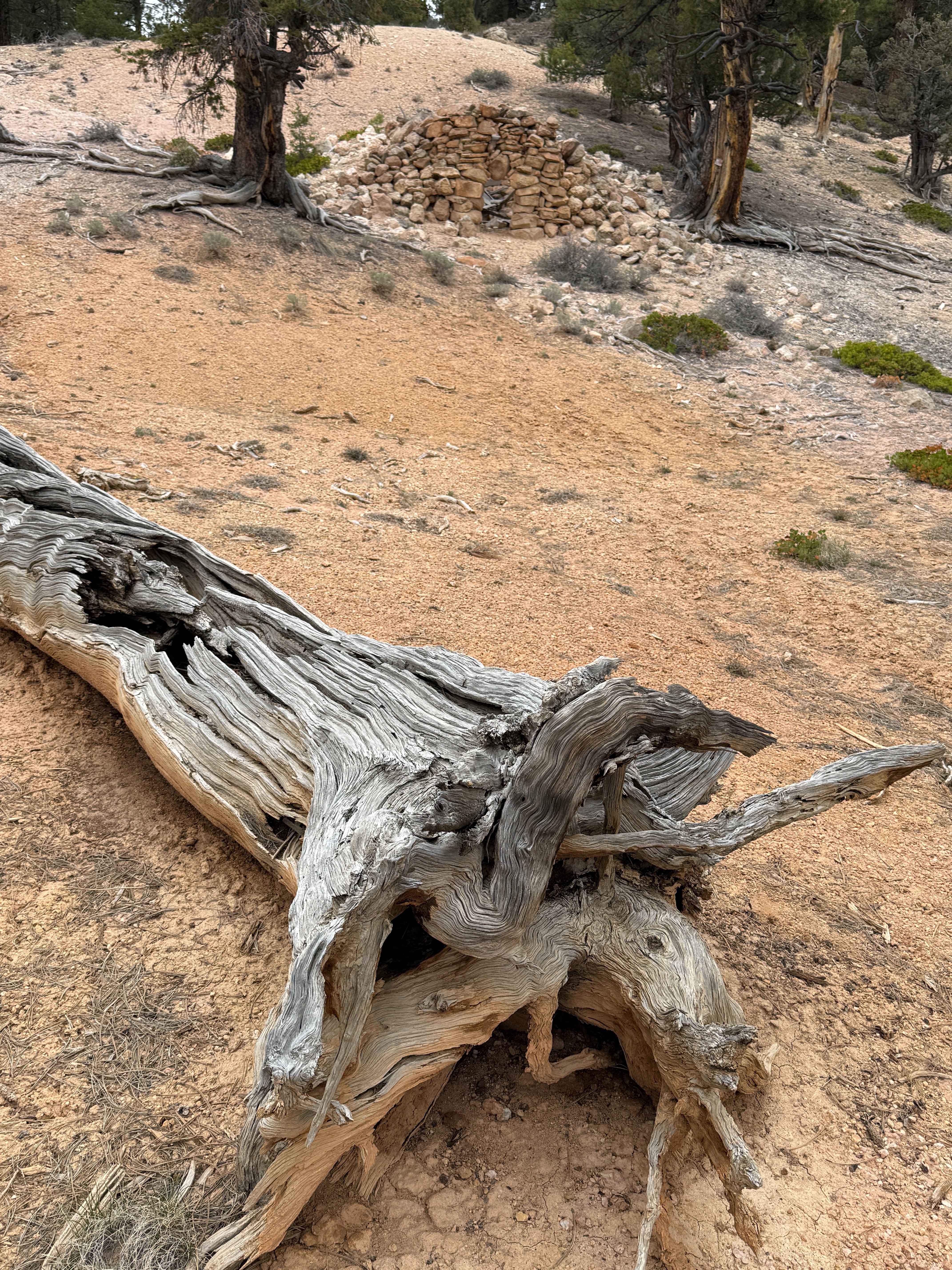 Butch Cassidy's Hideout - FS 30121