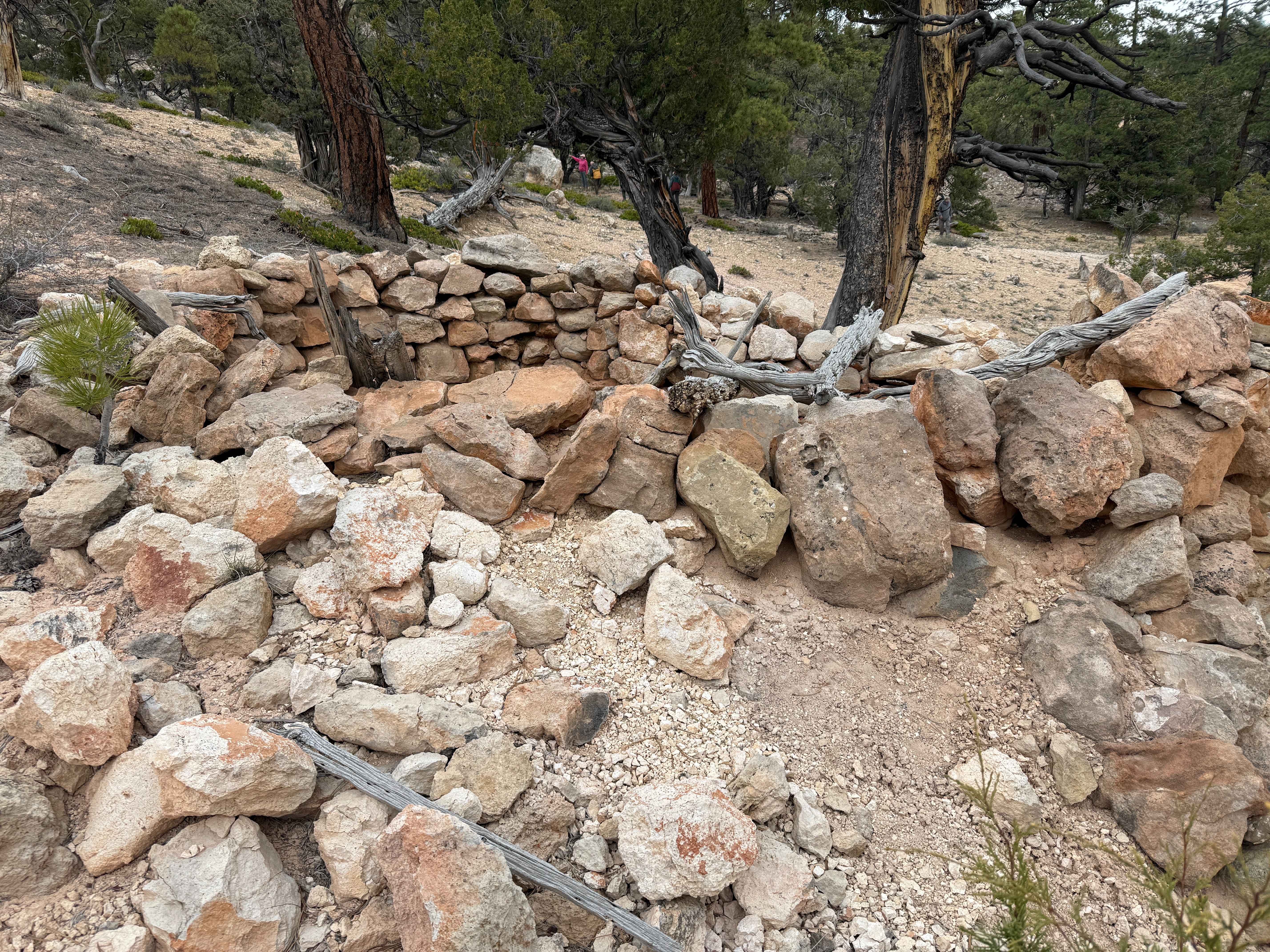 Butch Cassidy's Hideout - FS 30121