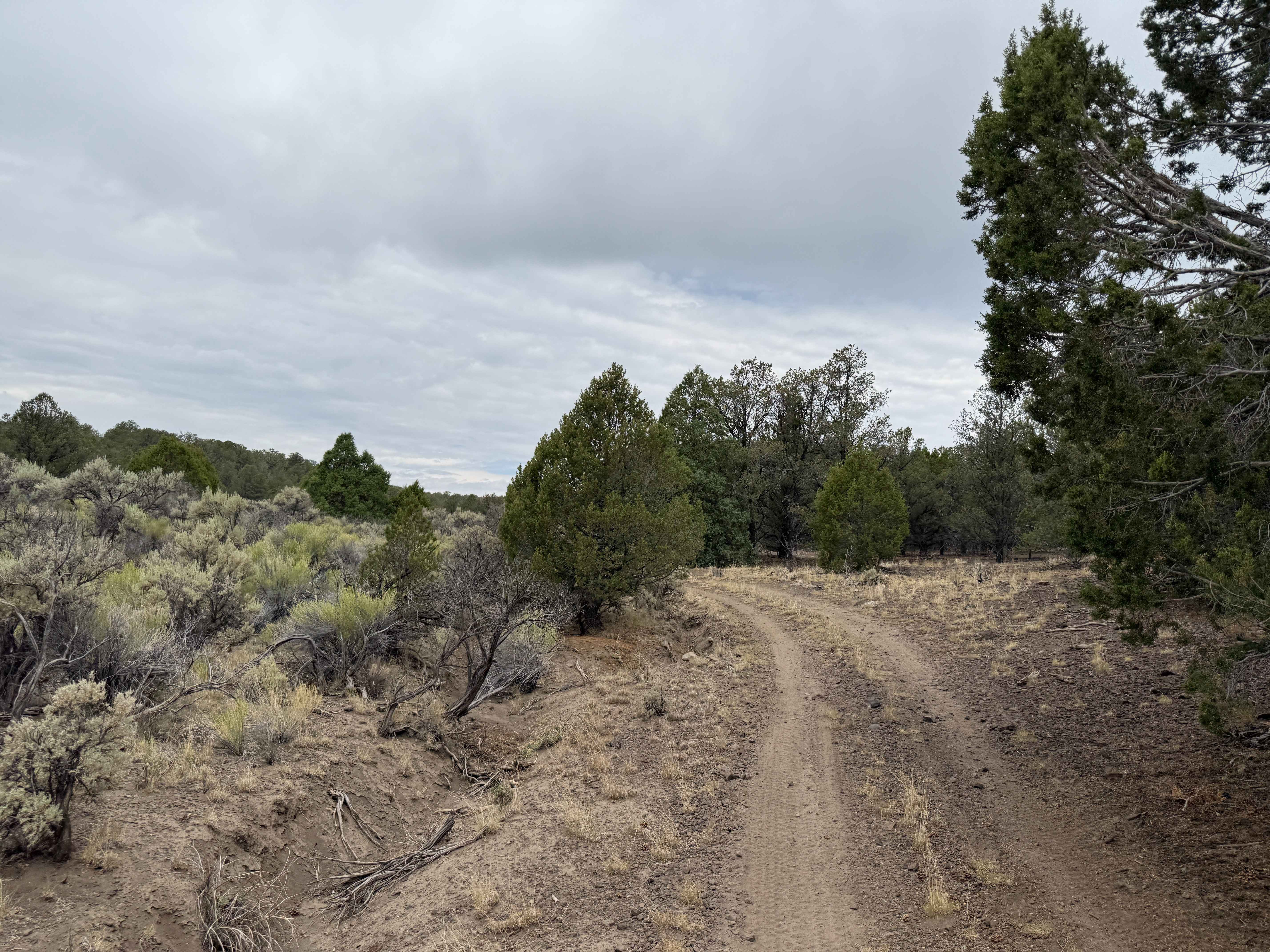 Tebbs Hollow/Sandy Creek - FS 2900, 3200.1.19