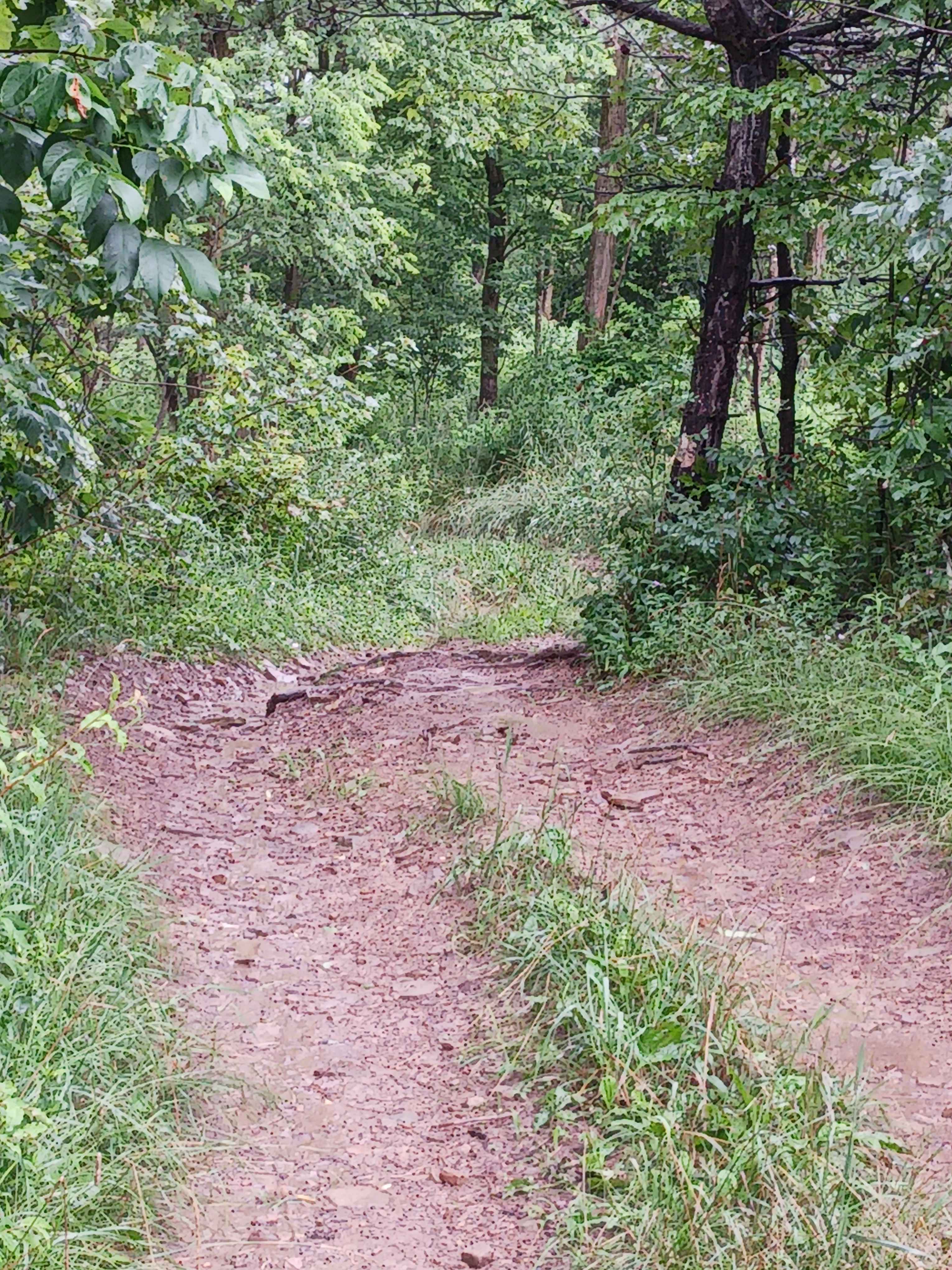 Trail 3E - Rock Run Recreation Area