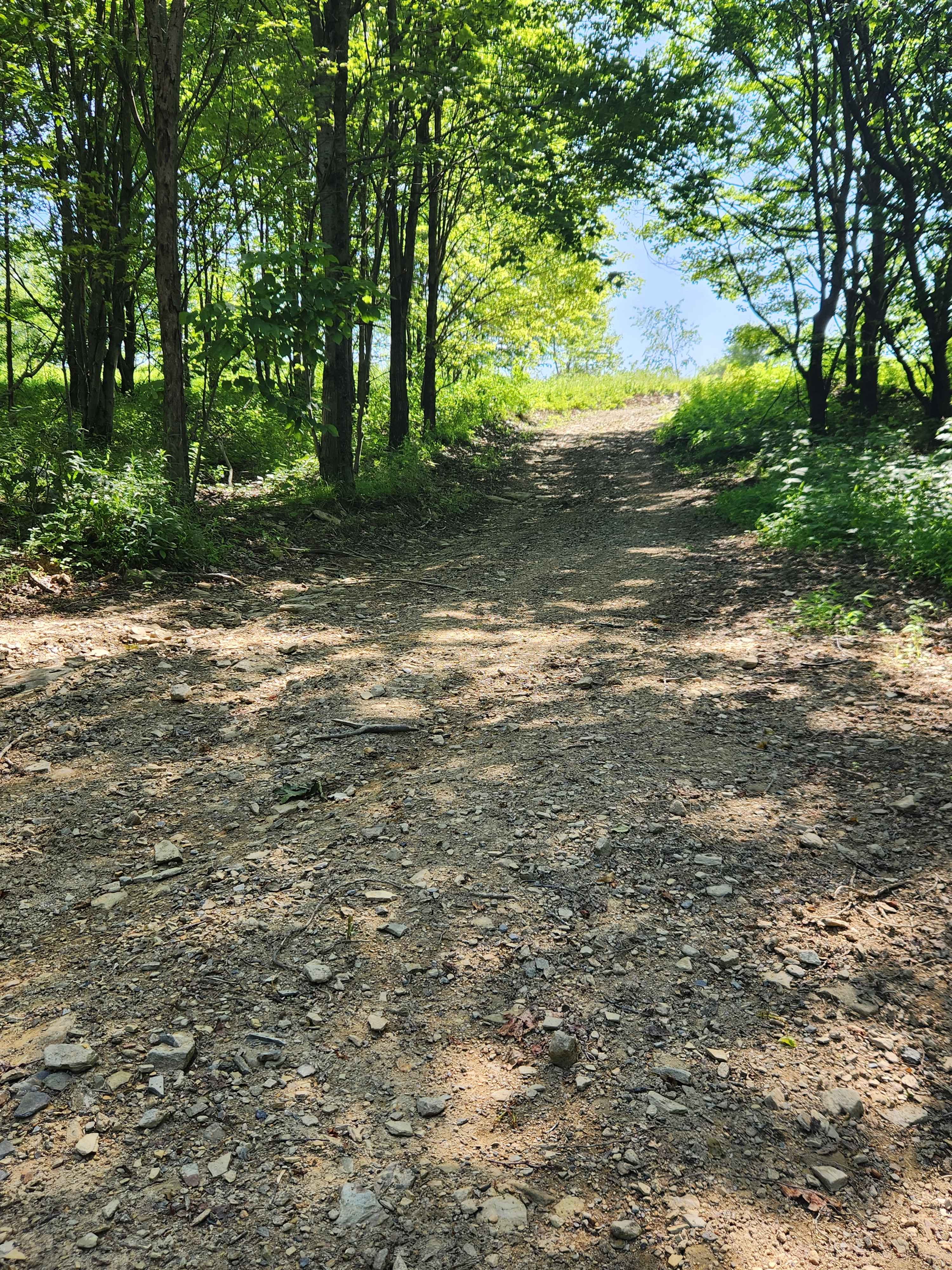 Loop Connect Trail - Rock Run Recreation Area