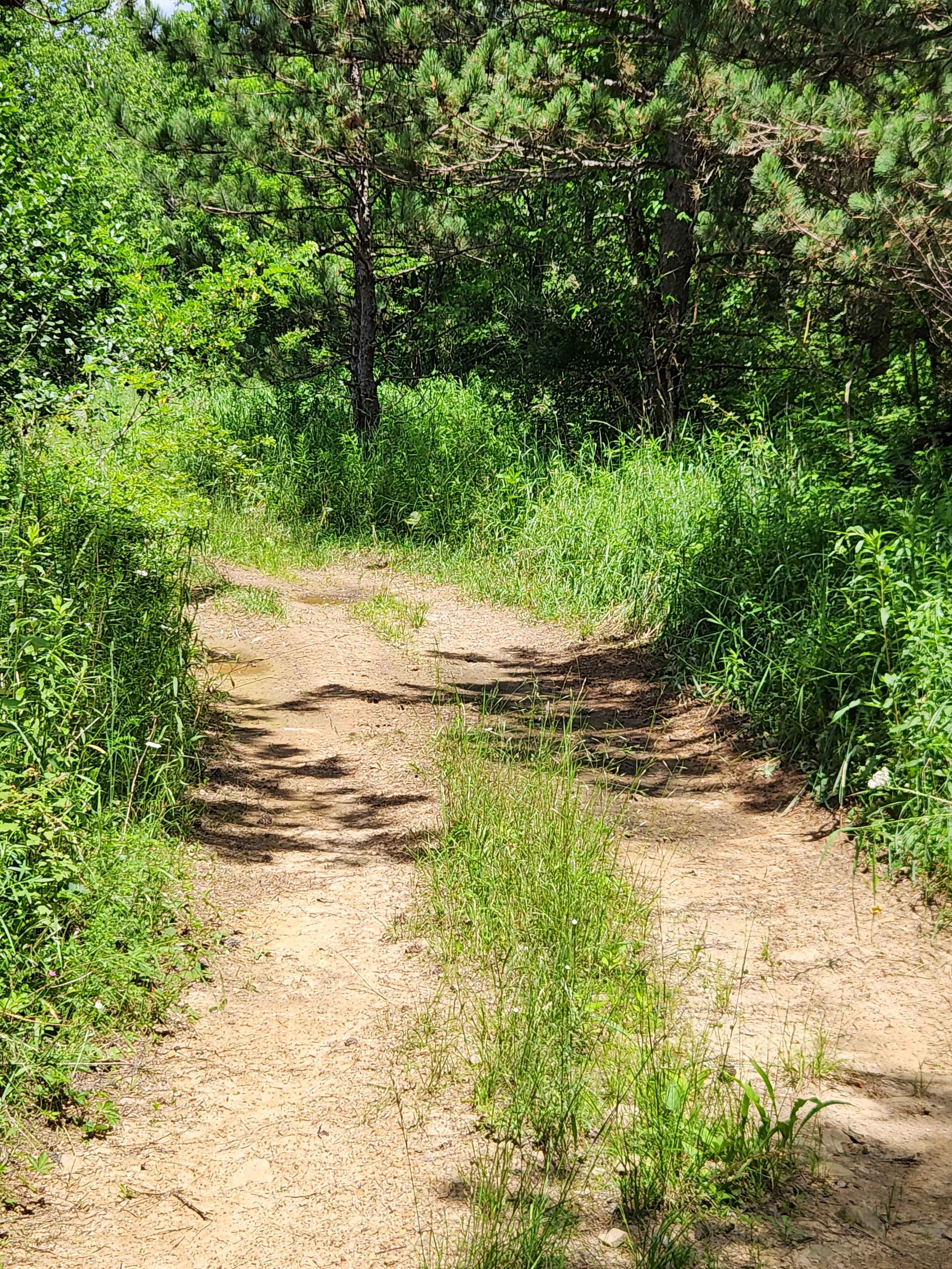 Trail 5J - Rock Run Recreation Area