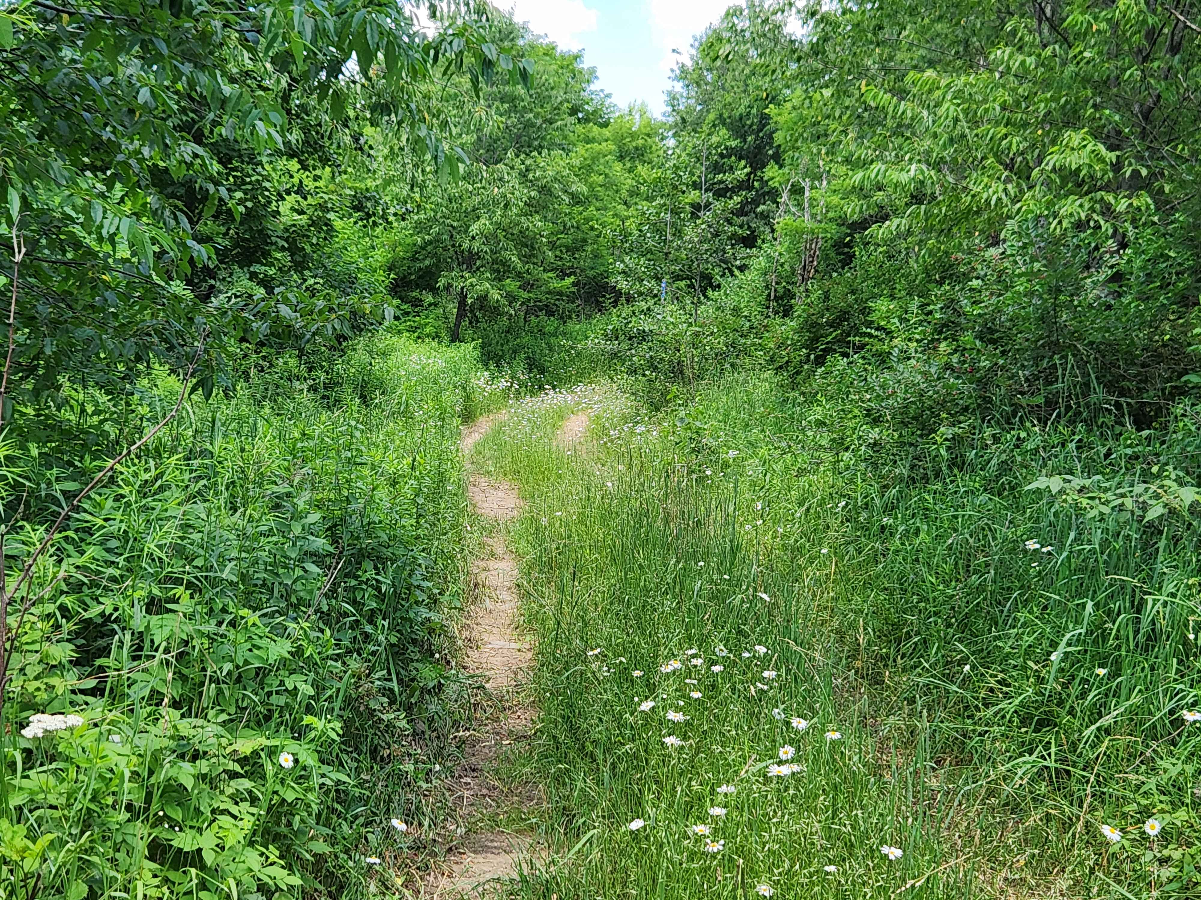 Trail 5J - Rock Run Recreation Area