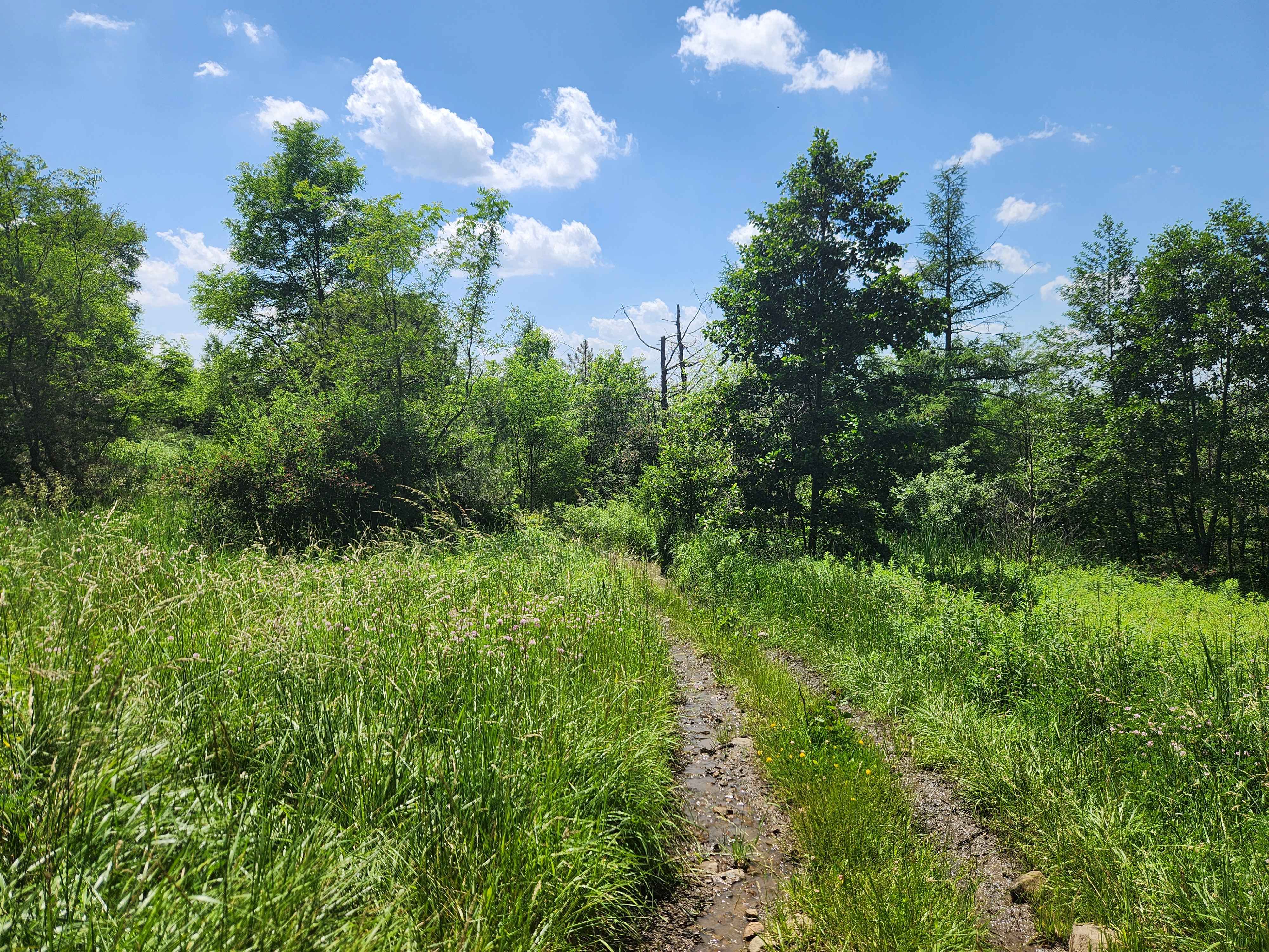 Trail 8C - Rock Run Recreation Area