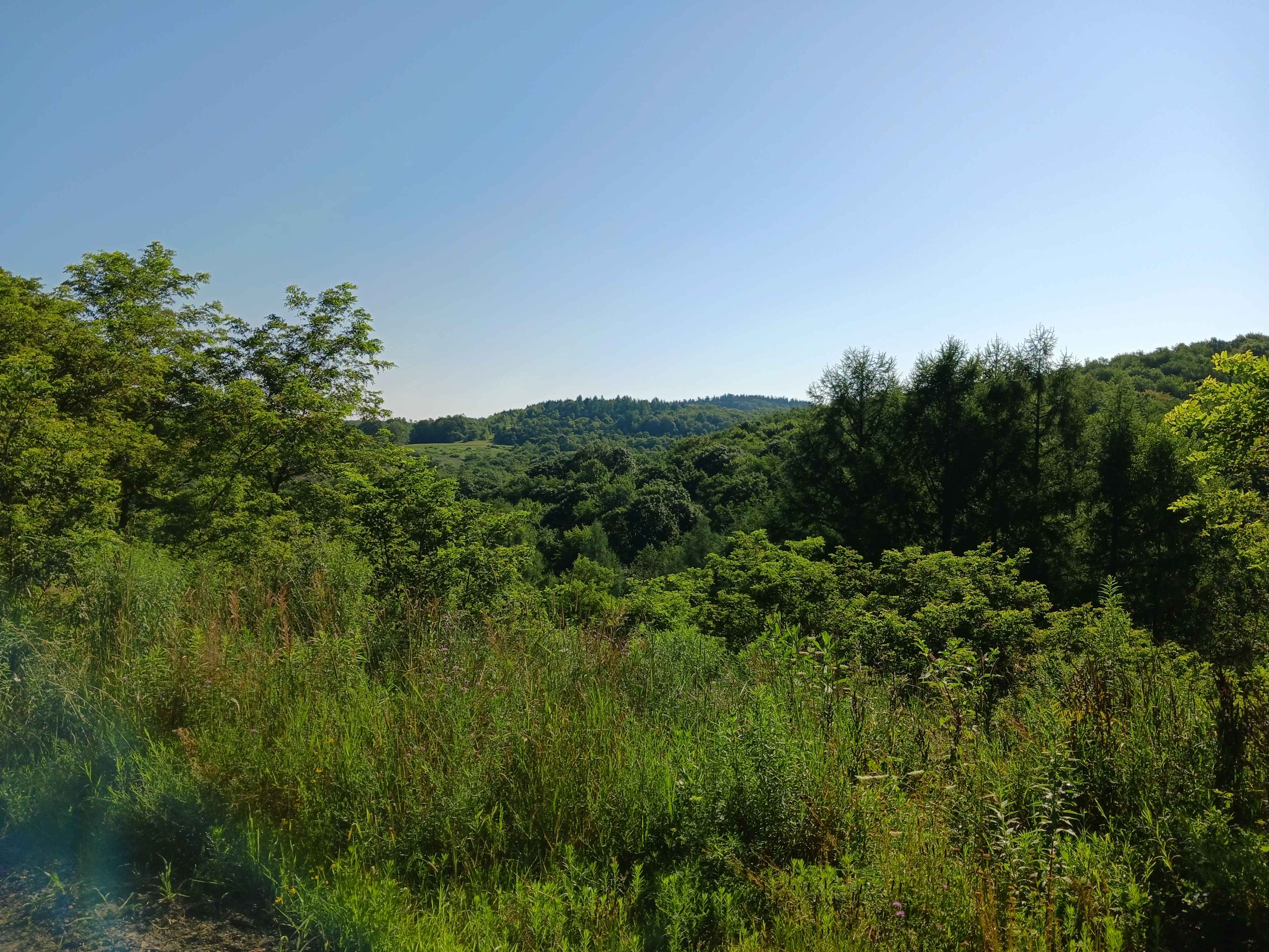 Trail 12X - Rock Run Recreation Area