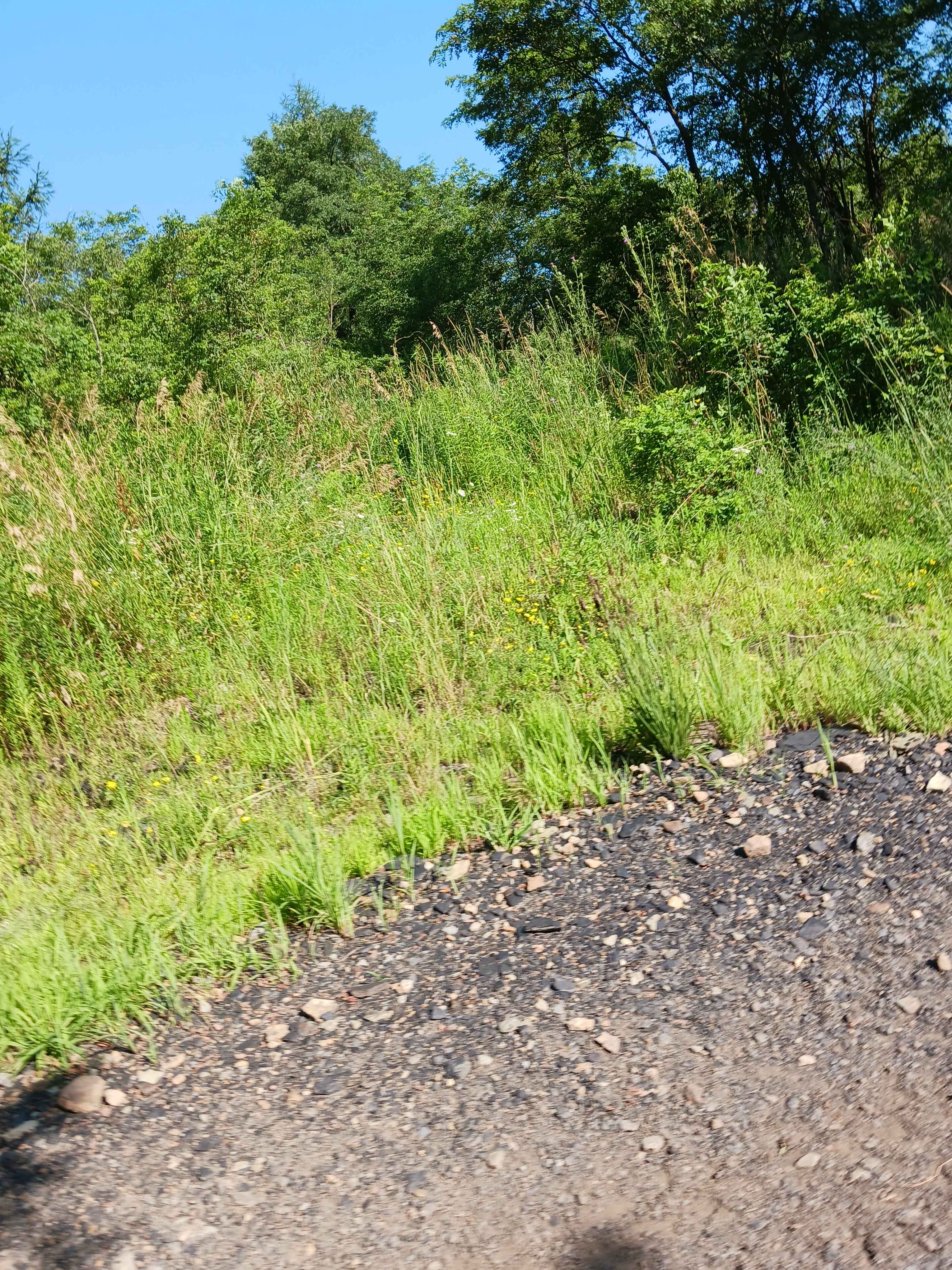 Trail 12X - Rock Run Recreation Area